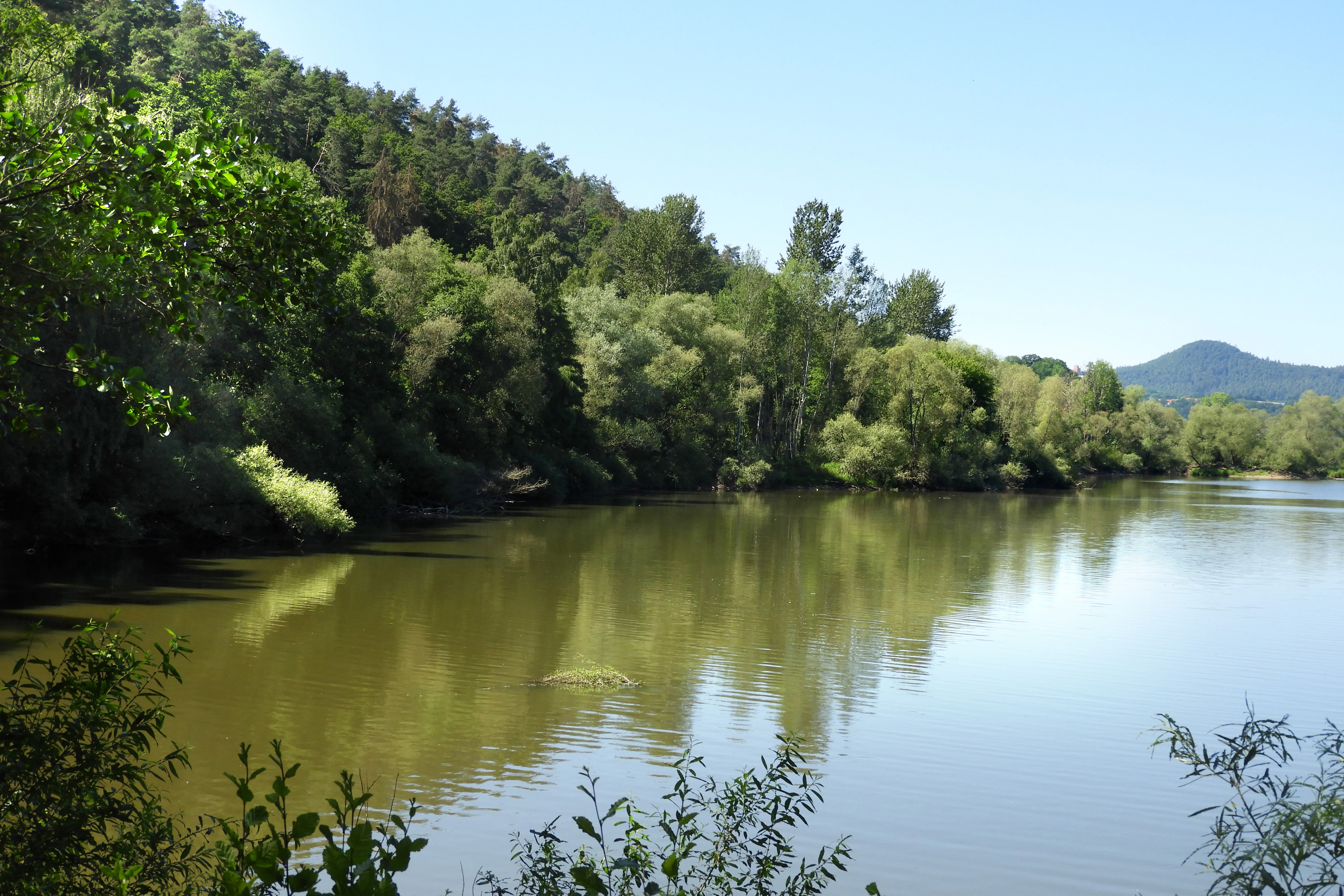 Forbachsee Nature Reserve