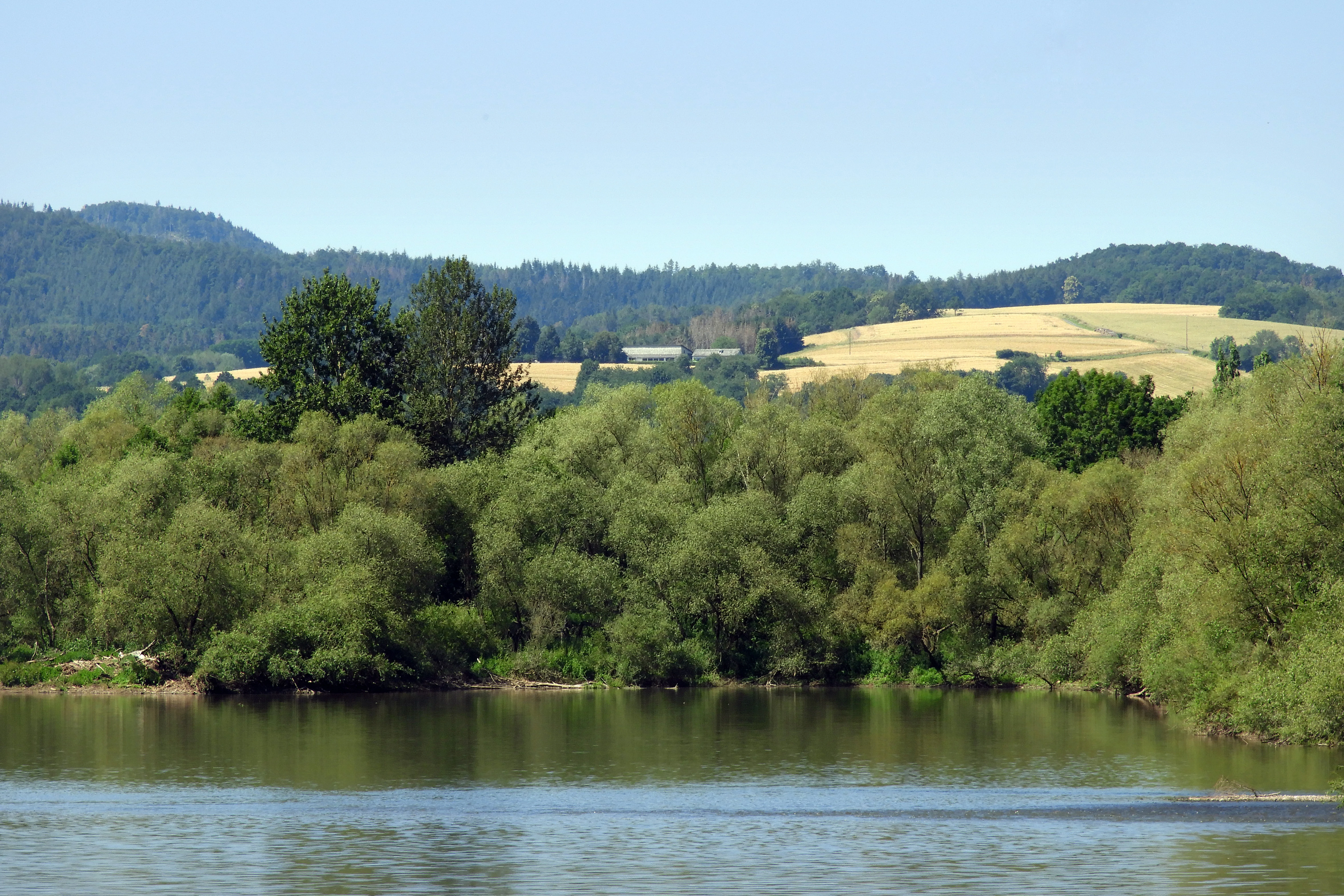 Forbachsee bei Bebra nature reserve
