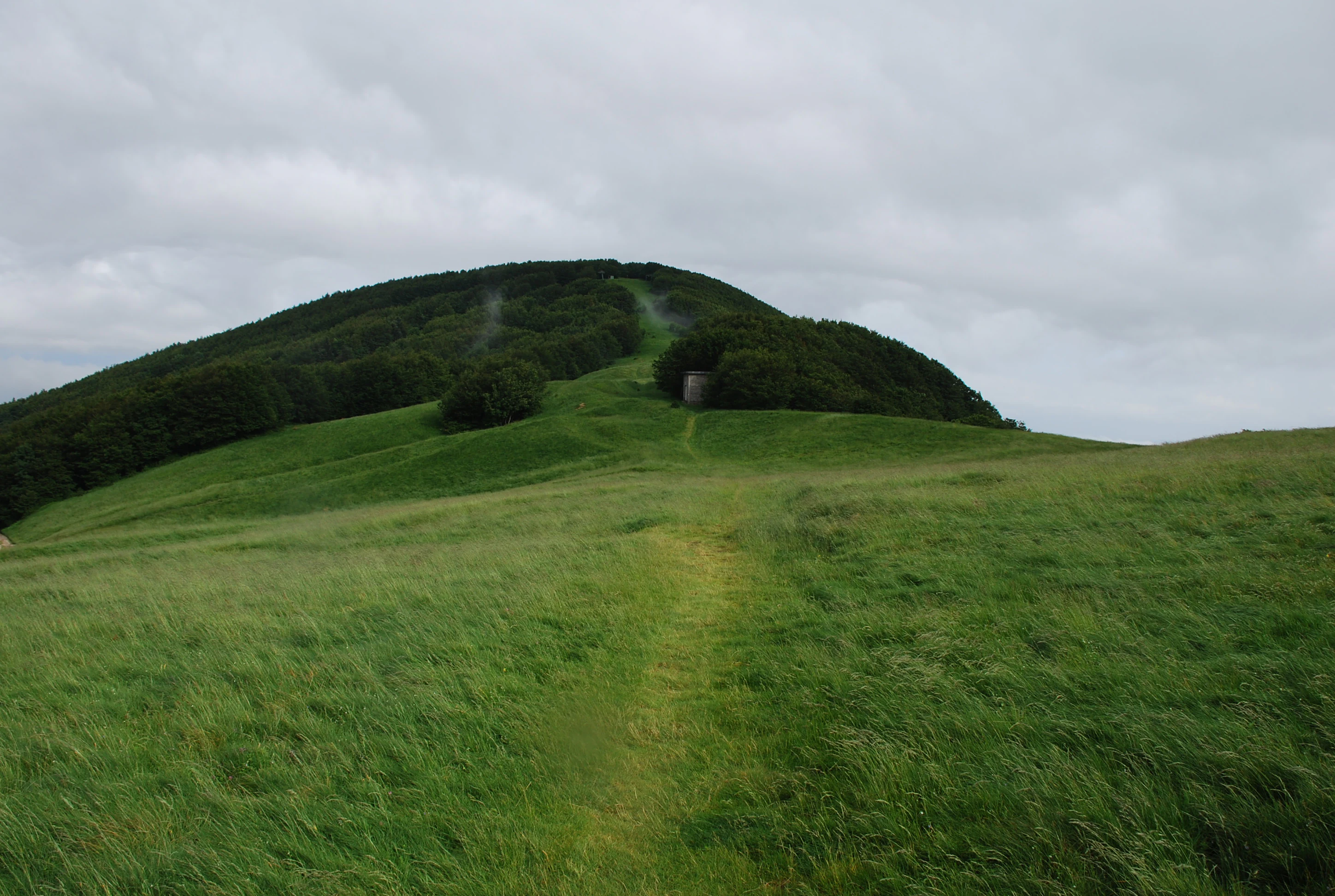 Grassy meadow with a path leading toward a forested hill under cloudy sky