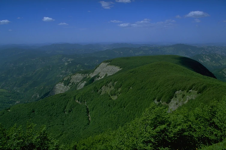 Wide panoramic view of lush green mountains and valleys with dense forests under a clear blue sky