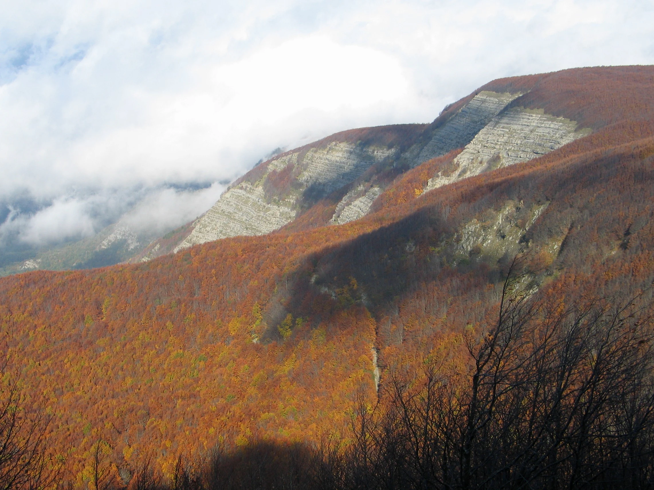 Mountain slope with autumn-colored trees and rocky cliffs under a cloudy sky