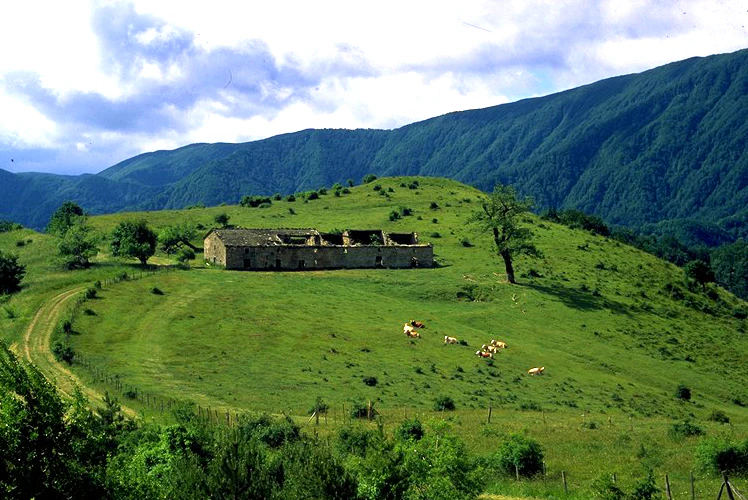 Grassy hillside with stone ruin, grazing cows, dirt road, and mountain range under partly cloudy sky