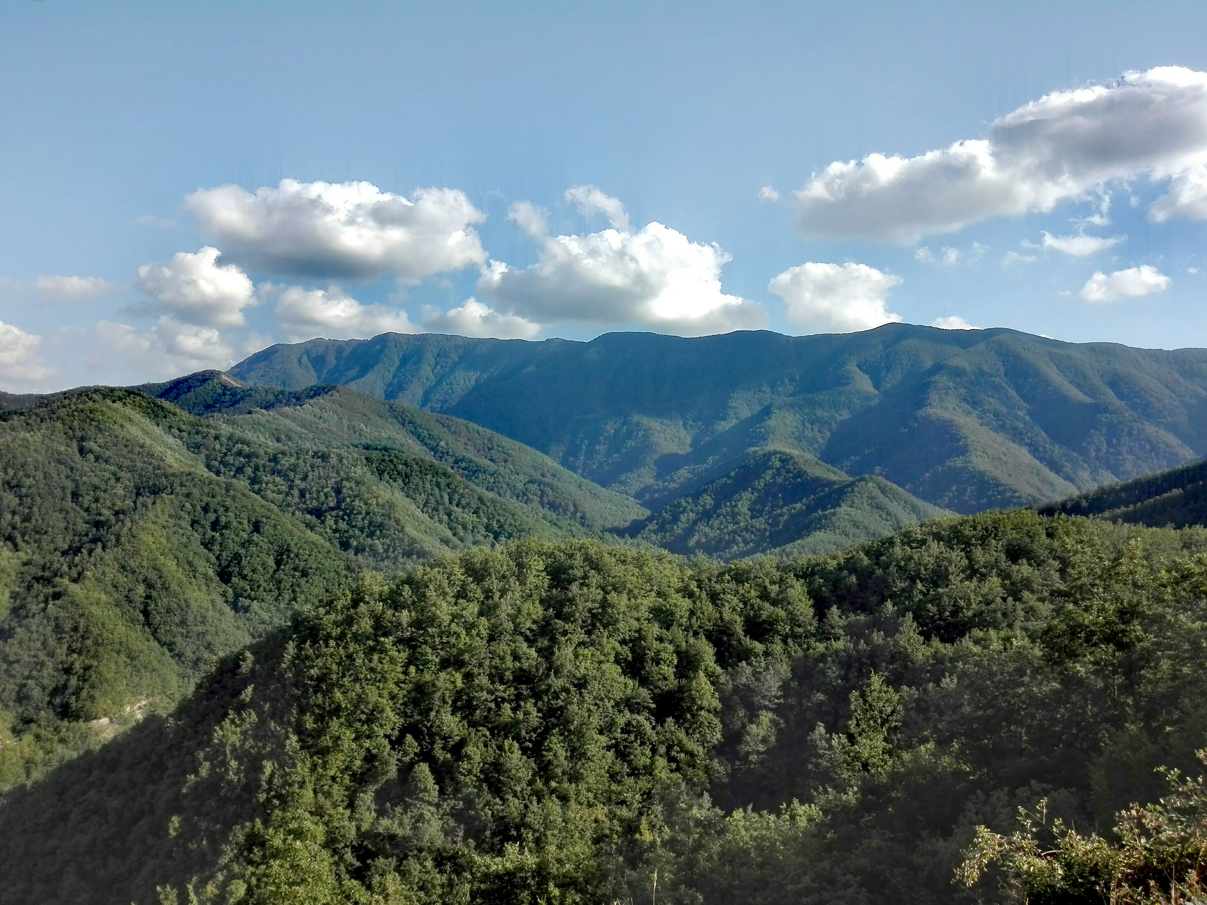 Panoramic view of rolling green mountains and dense forests under a partly cloudy sky