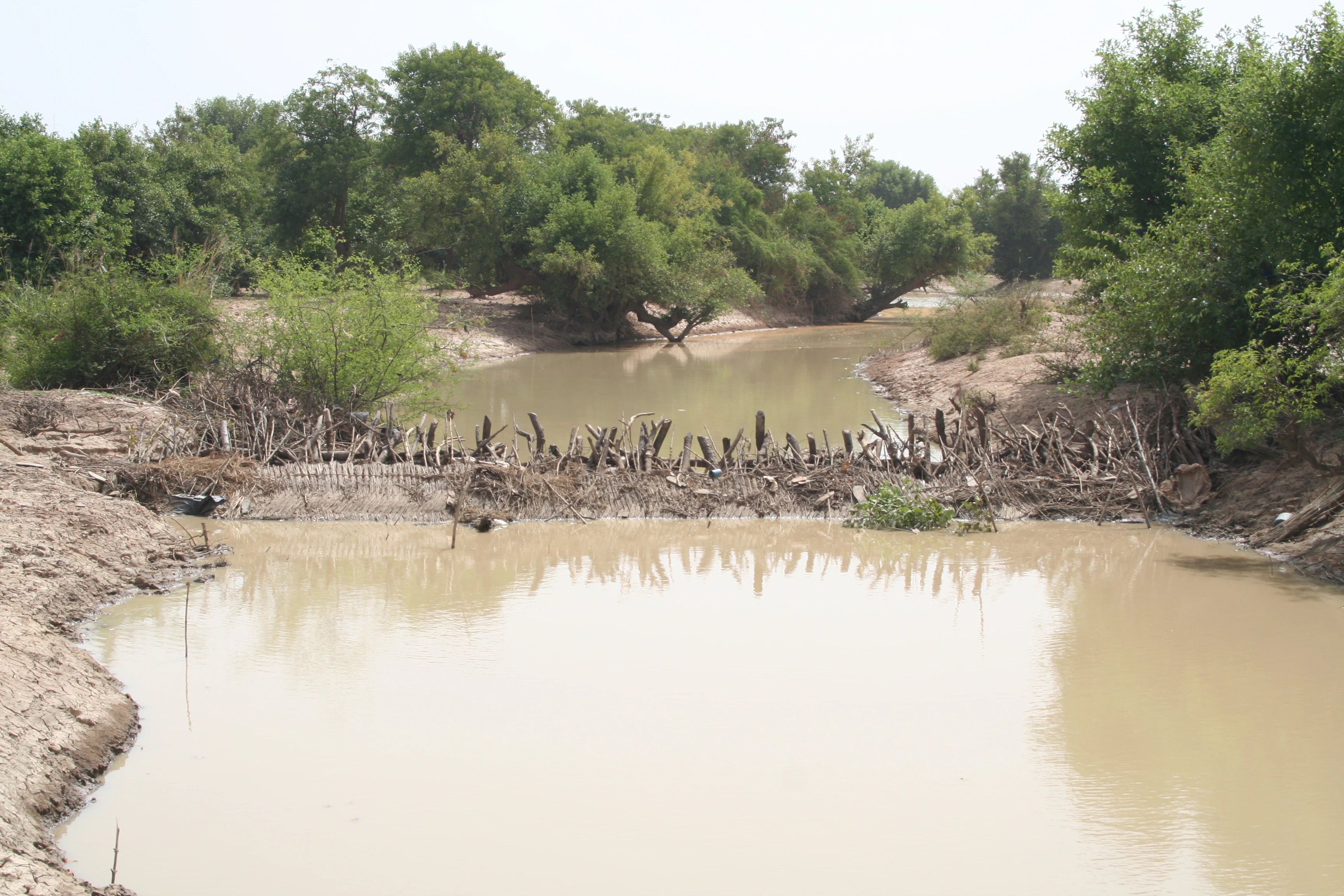 Massili river