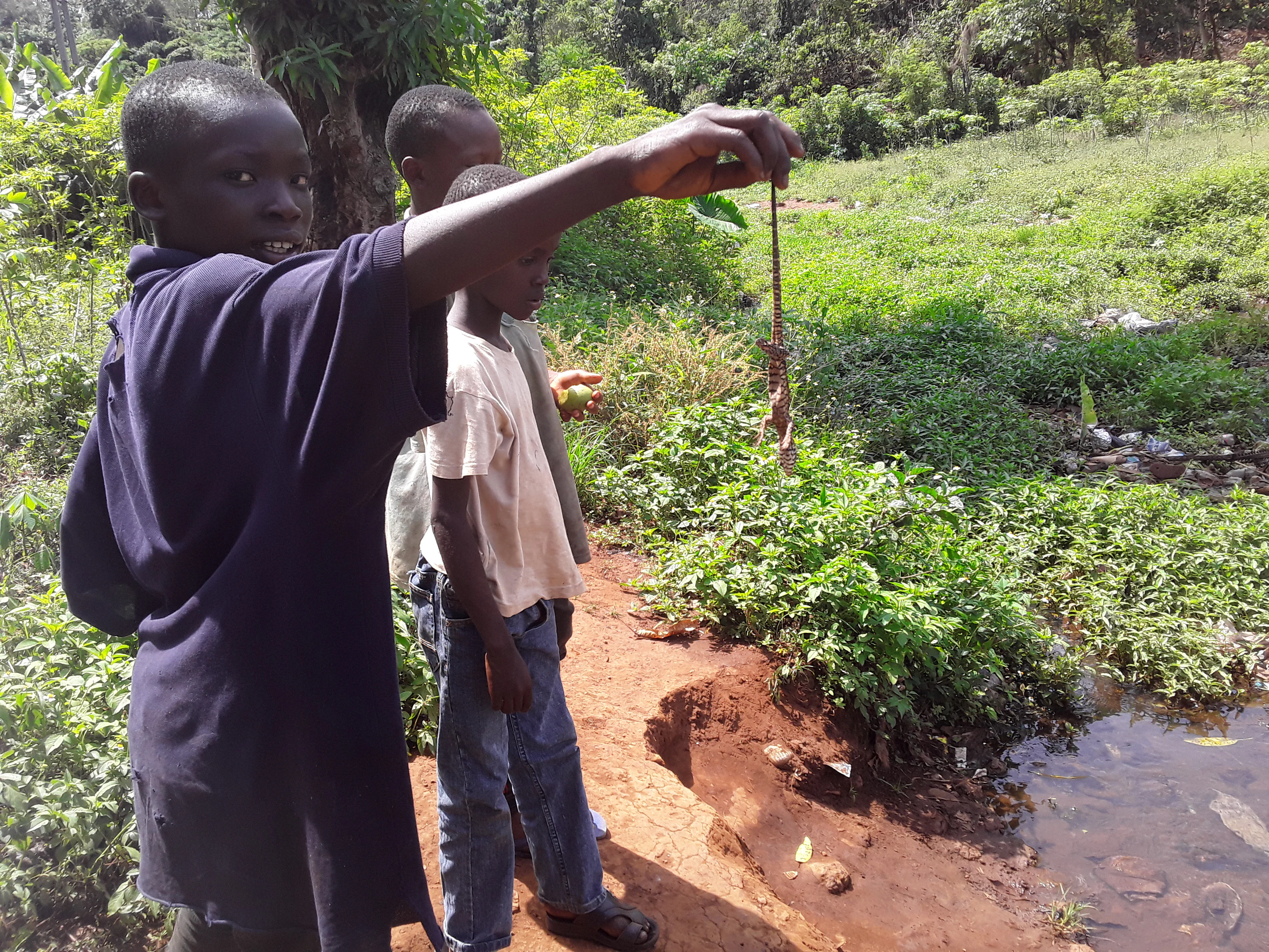 A young boy in a dark blue shirt holds a small lizard by its tail near a forest stream, with other children standing nearby.