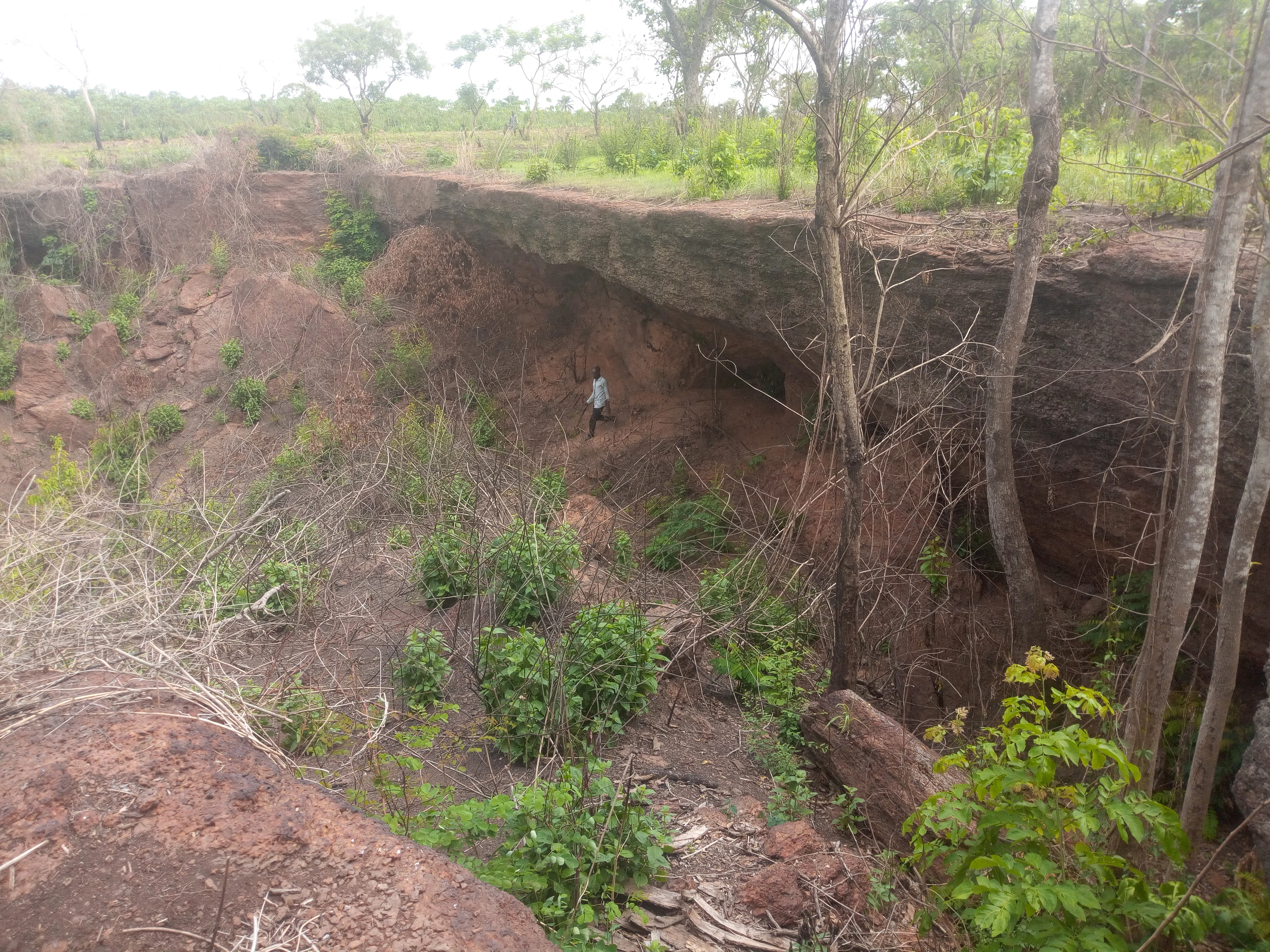 A wide angle view of an earthy, red-soil depression in a forest area, showing a small overhang and sparse vegetation.