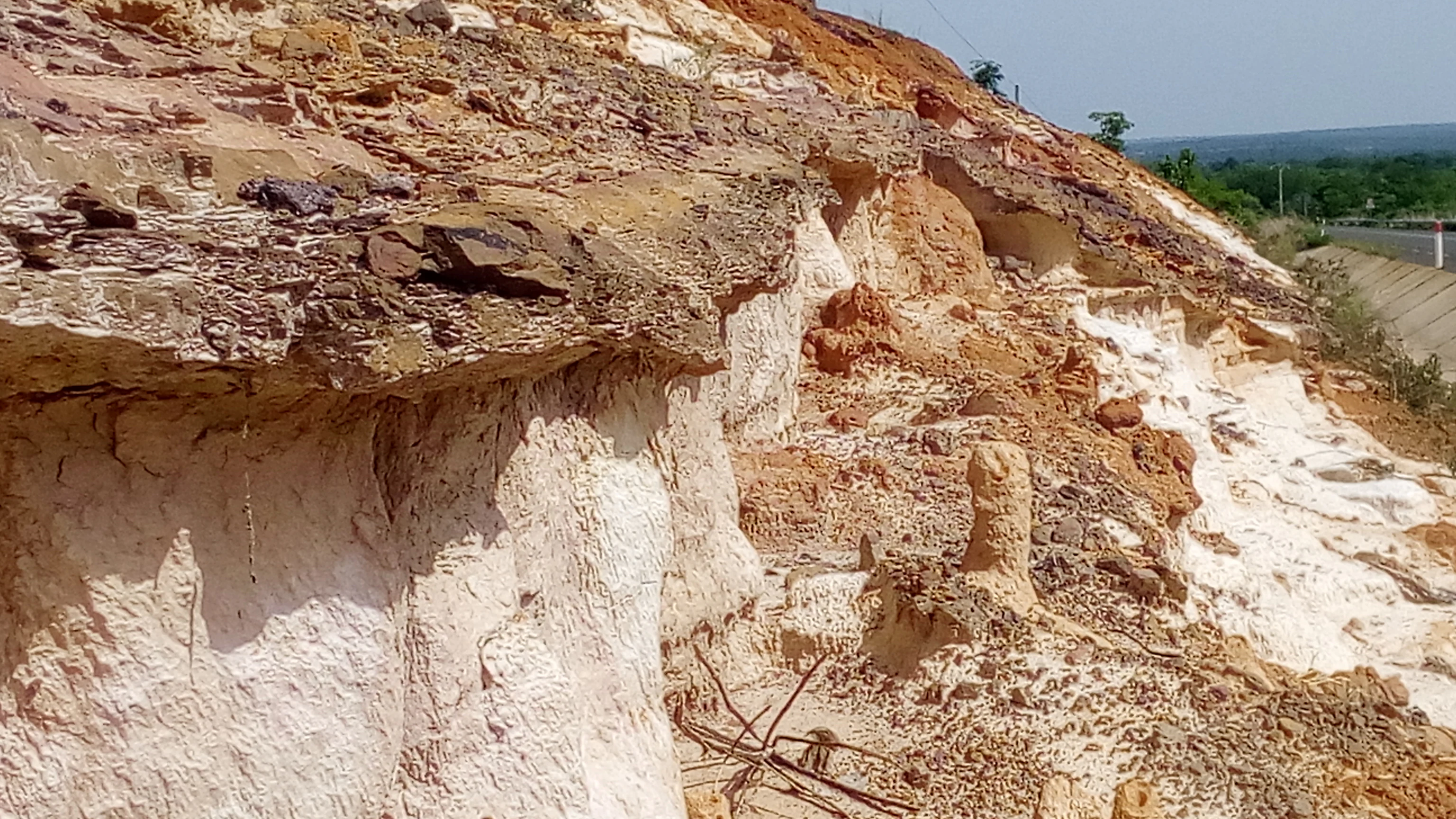 A close-up view of exposed soil and sediment layers along a steep, eroded bank. The soil features contrasting textures of white, sandy material and reddish clay, with a small termite mound visible on the slope.