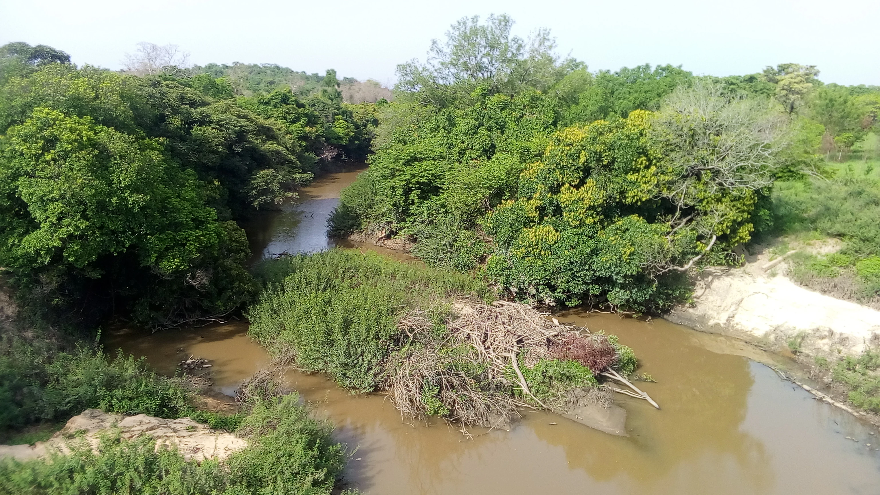A brownish, slow-moving river winds through a lush, green woodland savanna landscape with dense trees lining the banks.