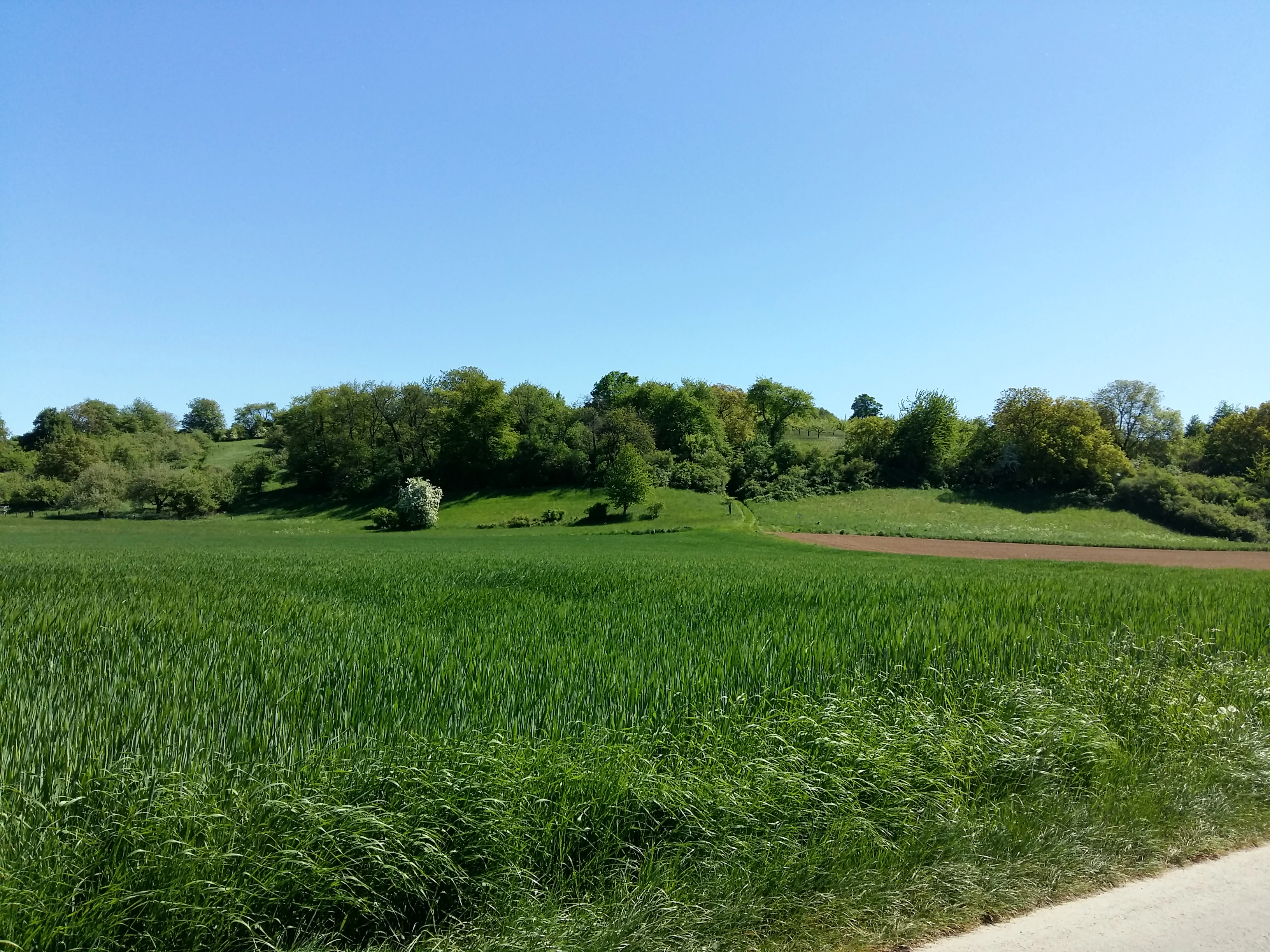 A wide view of a bright green meadow and agricultural field in the foreground, leading up to a low, wooded volcanic hill under a clear blue sky.