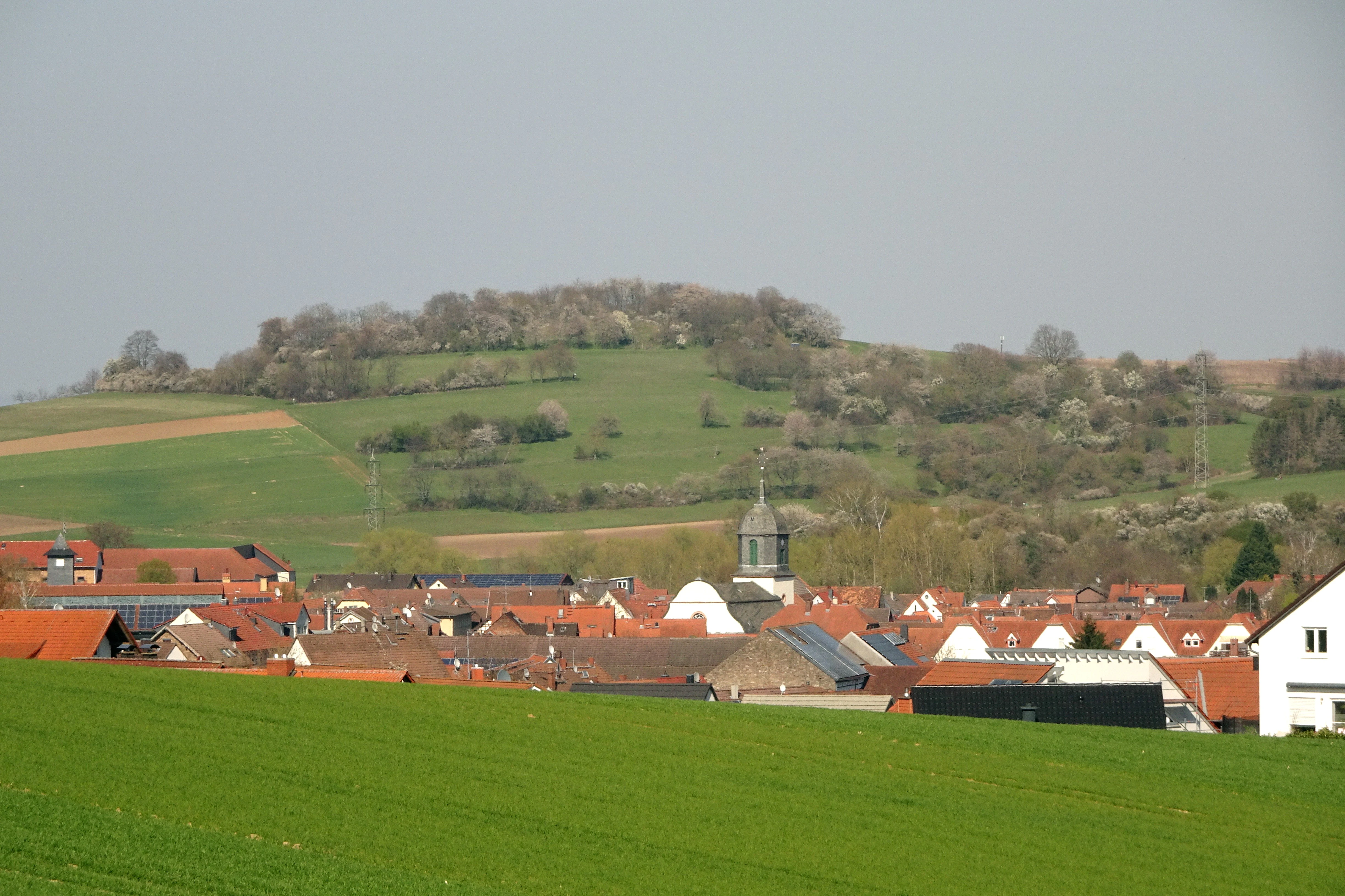 A wide view of a small town with red-tiled roofs nestled at the base of rolling green hills, with flowering trees and agricultural fields visible in early spring.