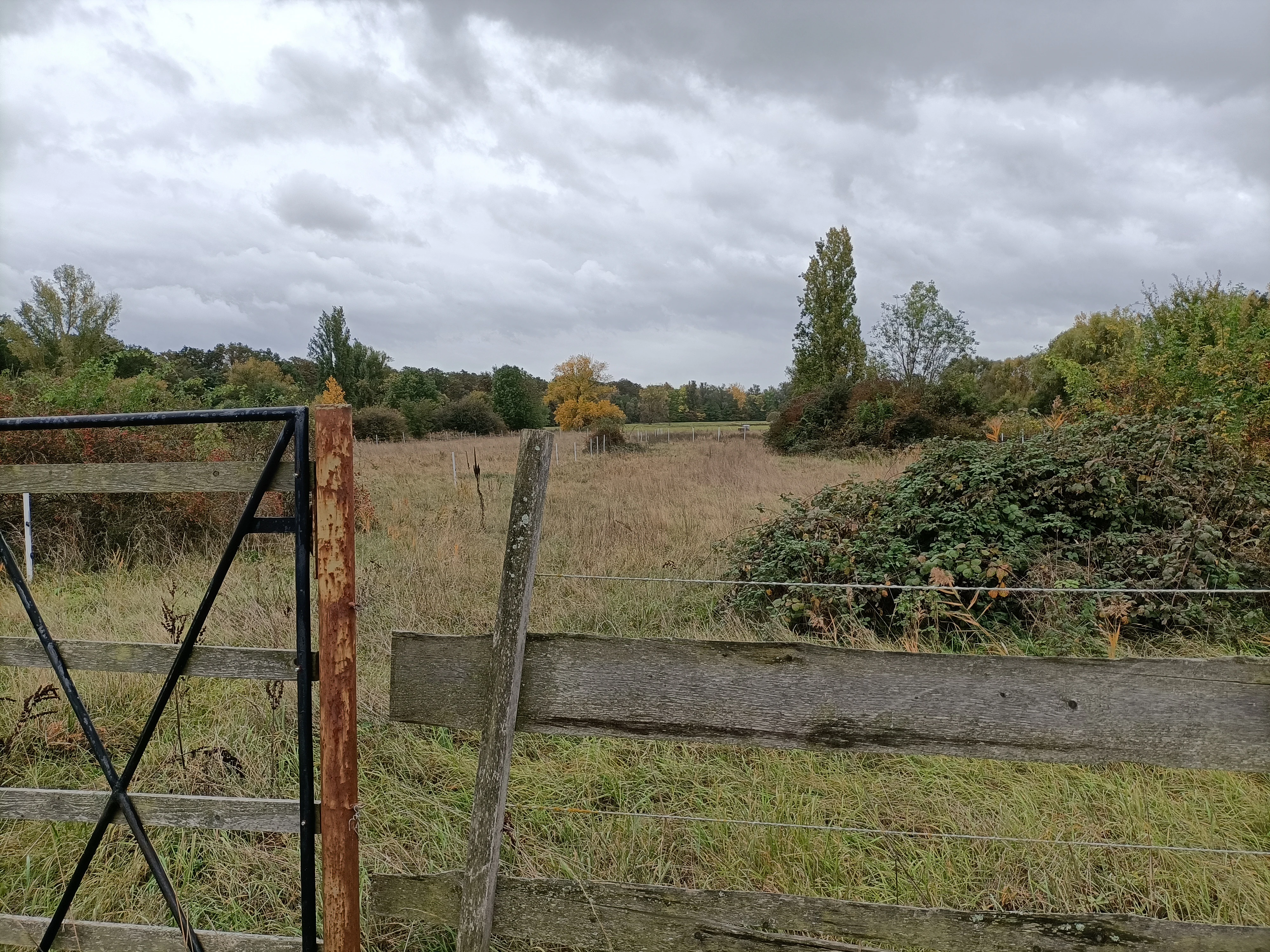 An eye level shot of a flat, grassy nature reserve field bordered by a wooden fence and a black metal gate in the foreground, with trees and shrubs in the distance under a cloudy sky.
