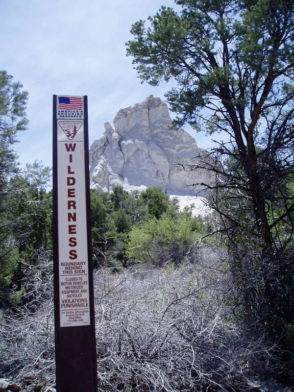 A tall, vertical, brown sign marked Wilderness stands in the foreground, with trees and a prominent light-colored volcanic rock formation in the background.