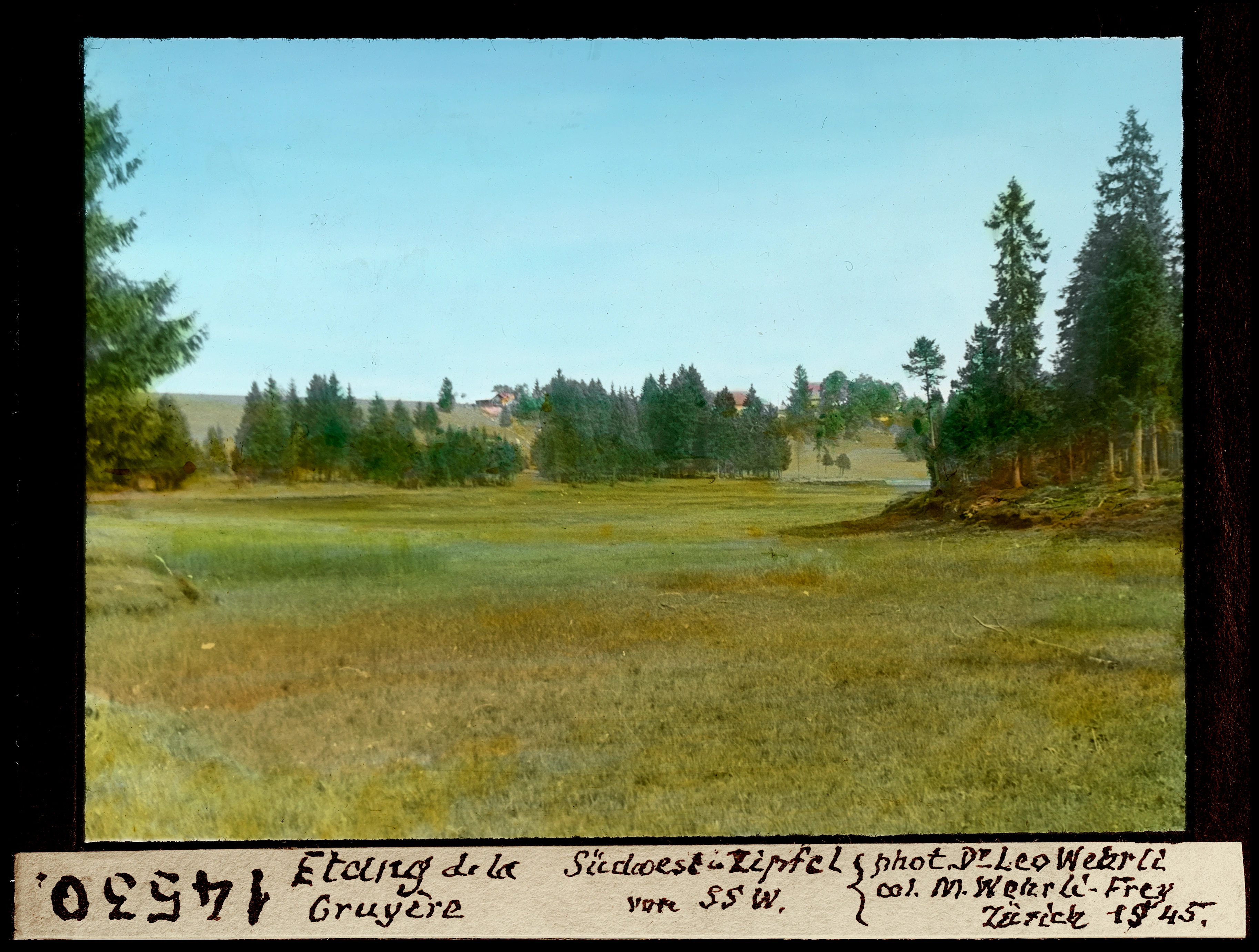 A vintage, colorized landscape photograph of a grassy wetland plateau bordered by pine forests, with a handwritten label at the bottom describing the location as Etang de la Gruere.
