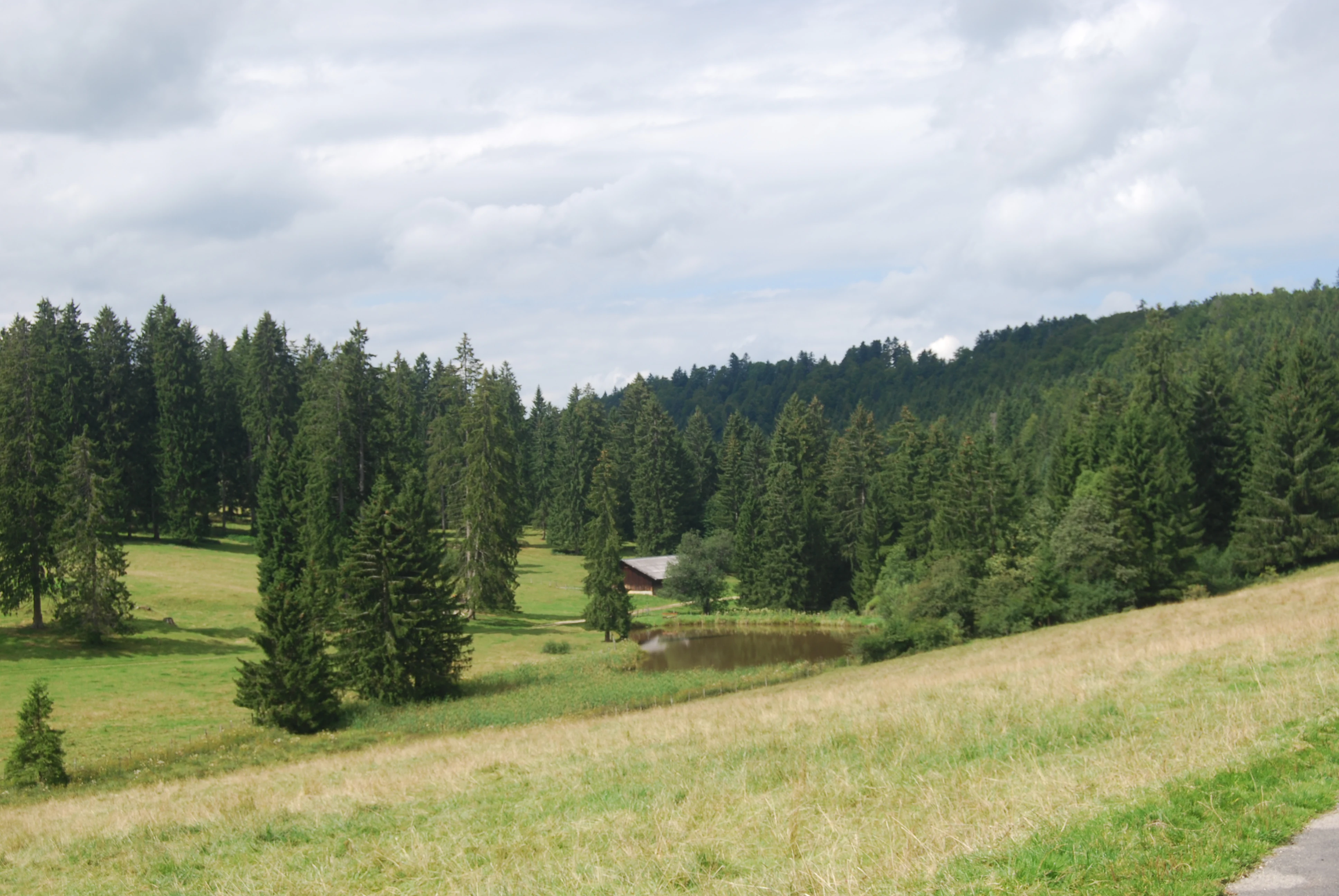 A small pond set in a rural Jura landscape, surrounded by open meadows and dense evergreen coniferous forests under a cloudy sky.