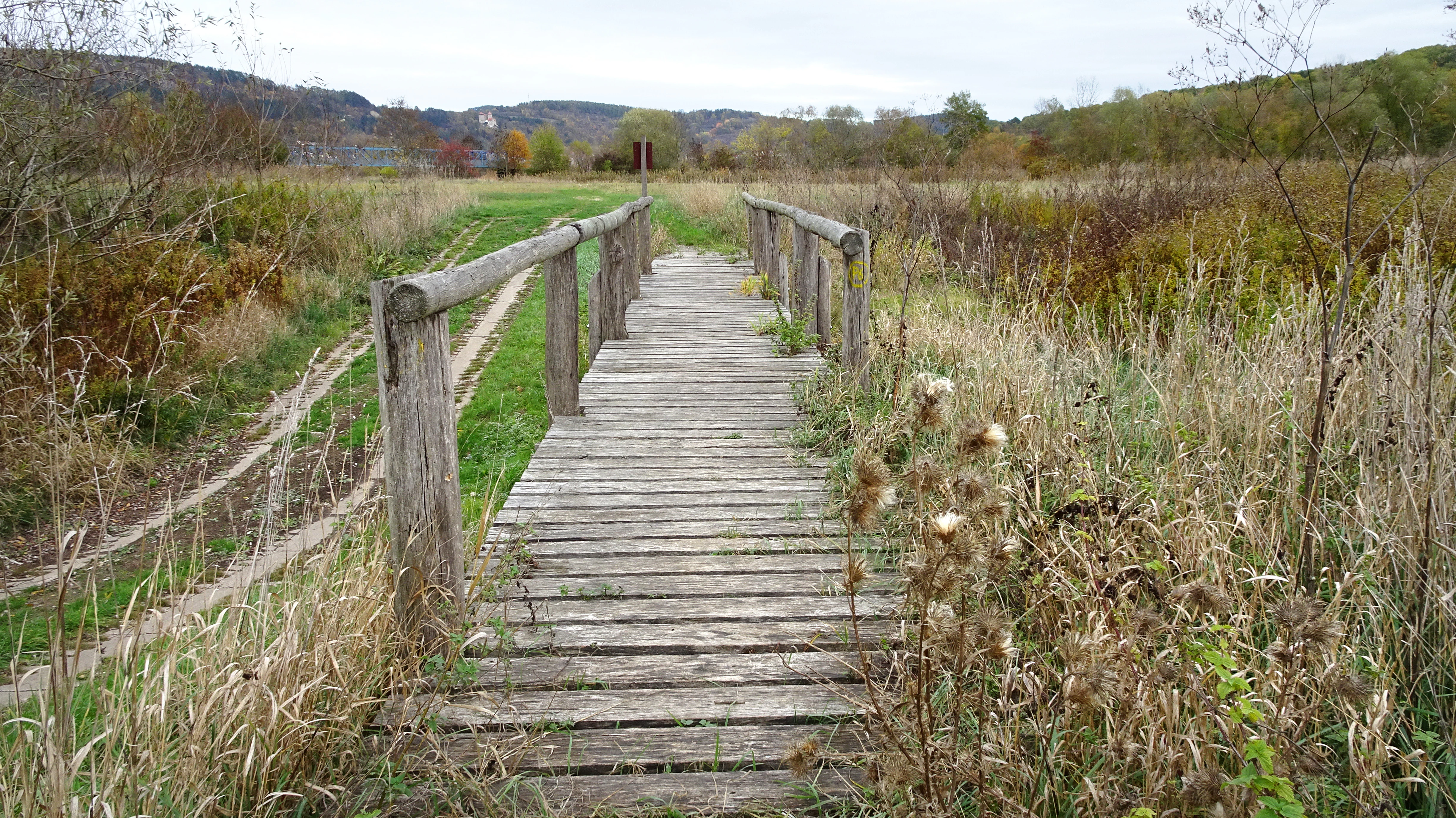 A wooden boardwalk with railings extending through tall grass and vegetation towards a green field and distant hills under an overcast sky.
