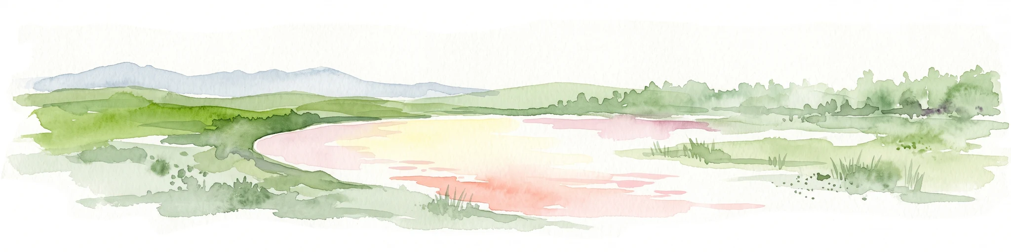 A horizontal watercolor illustration of a coastal landscape with pale pink water, green marshy shorelines, and distant soft blue hills against a white background.