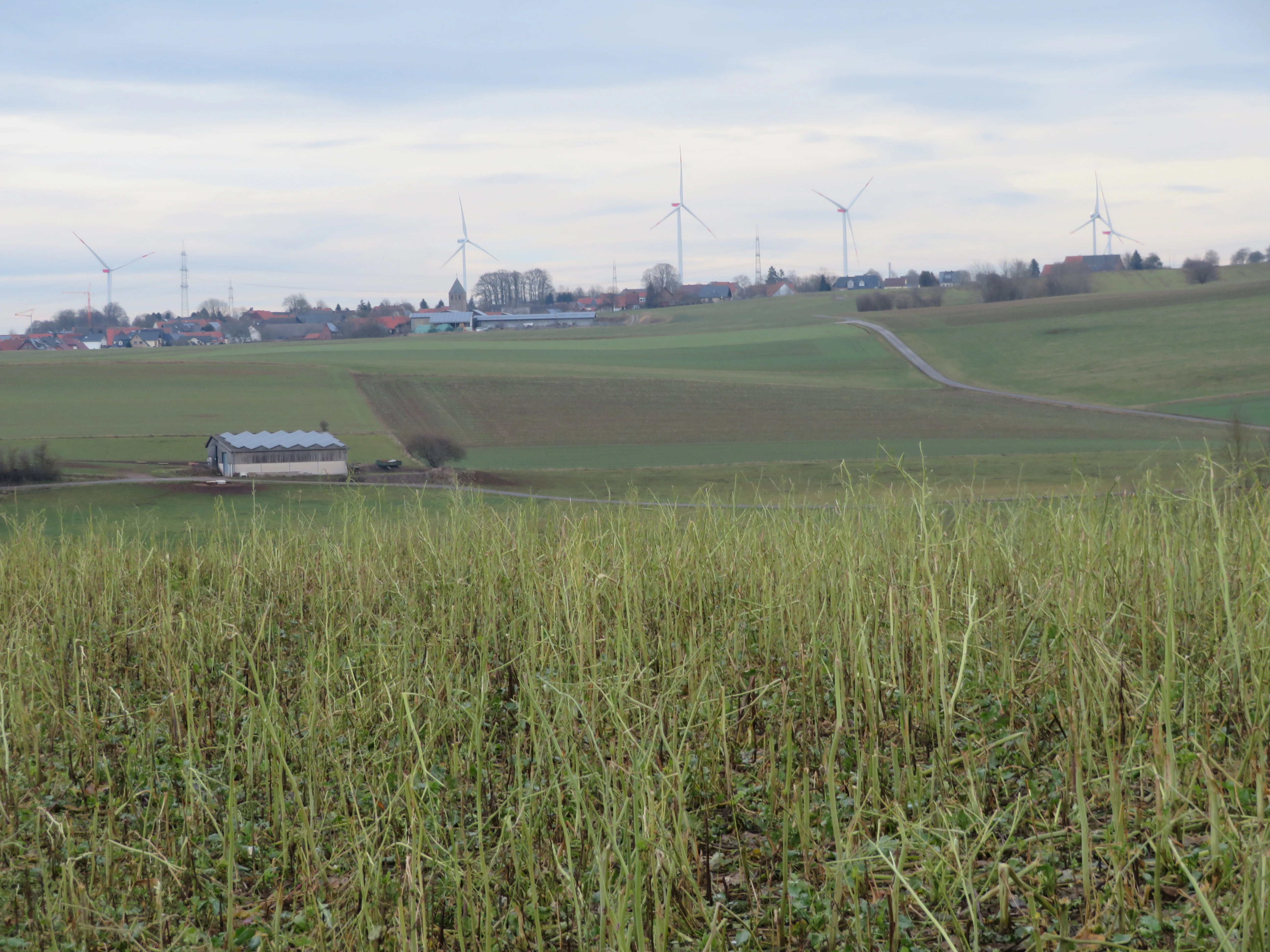 Wide shot of a rural landscape with a field of harvested crops in the foreground, rolling green hills, a small building, and a village with wind turbines on the horizon under an overcast sky.