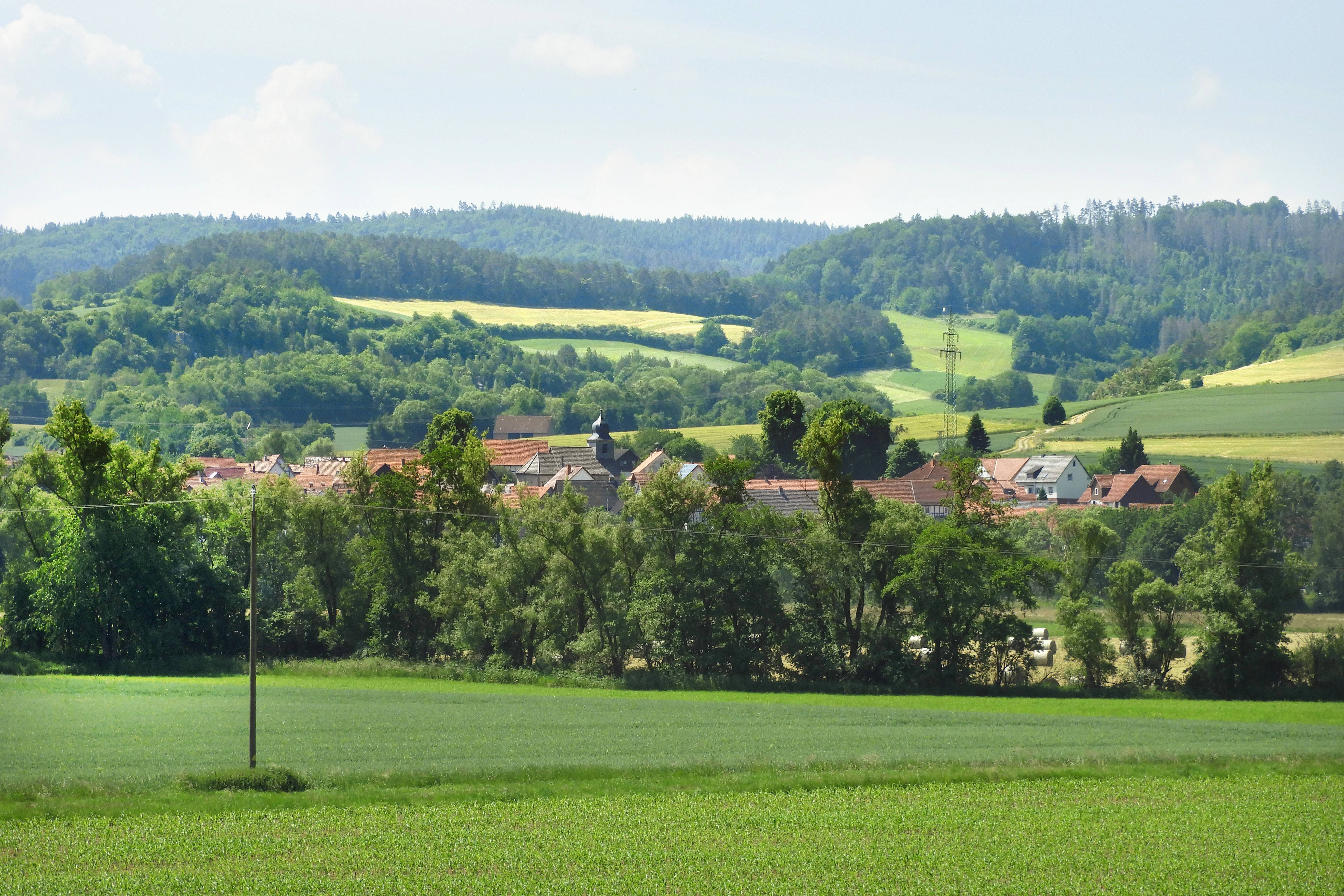 A wide view of a green valley and hillside in Germany featuring a small village partially hidden by trees in the middle distance.