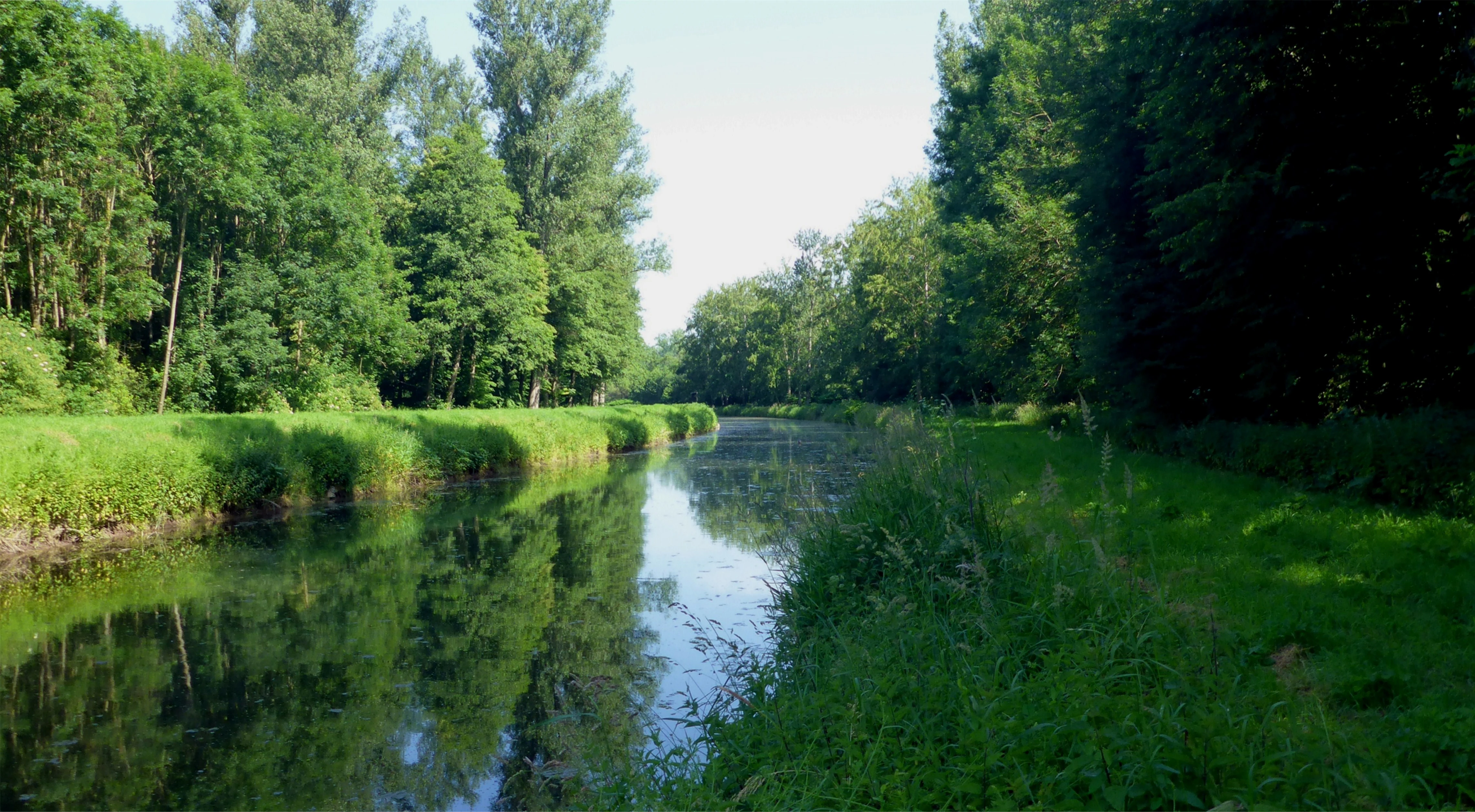 A calm, narrow waterway flowing through a green, tree-lined landscape with dense forest on both sides.