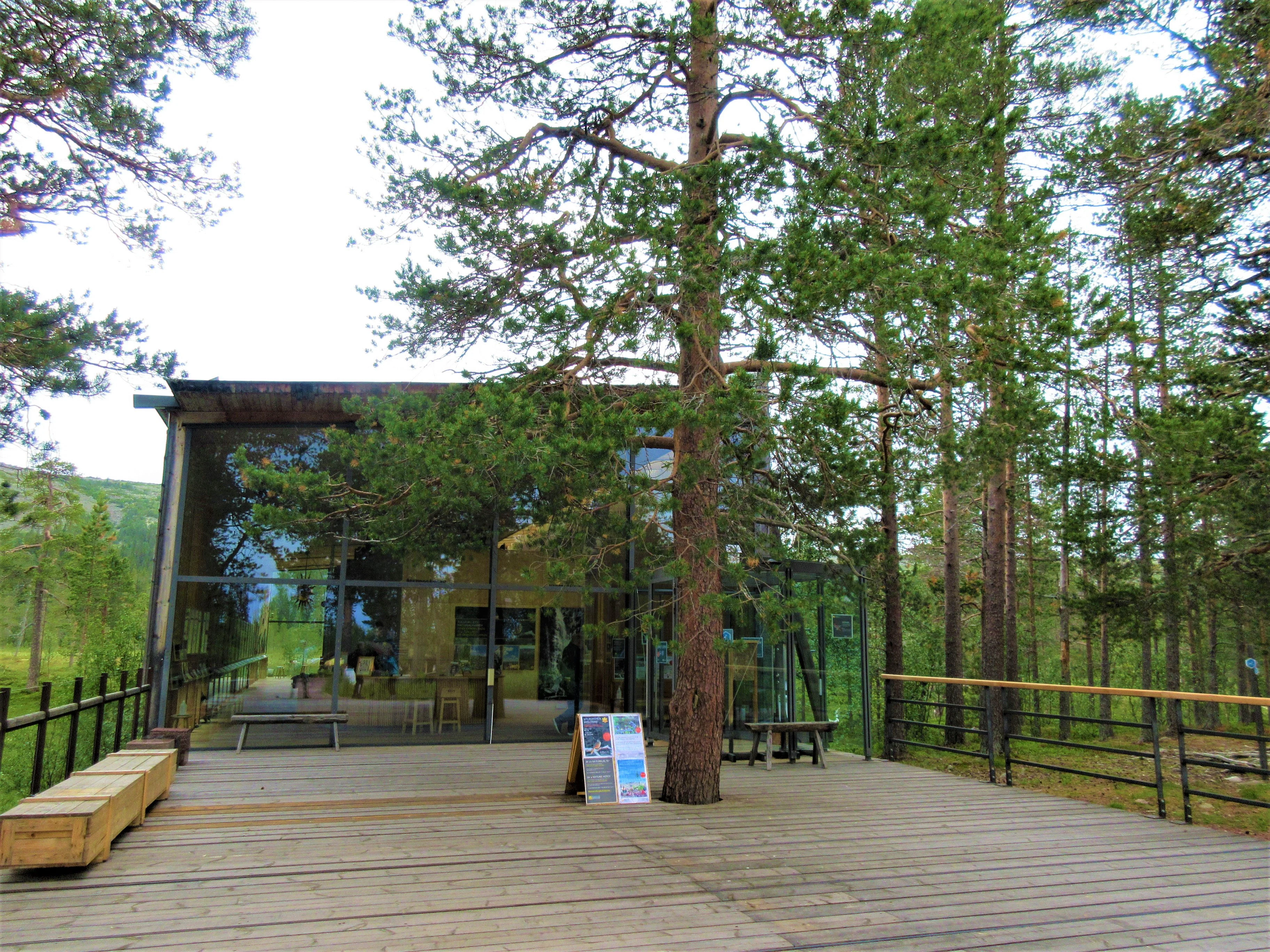 Modern glass building with wooden deck and tall pine trees at Fulufjället National Park entrance
