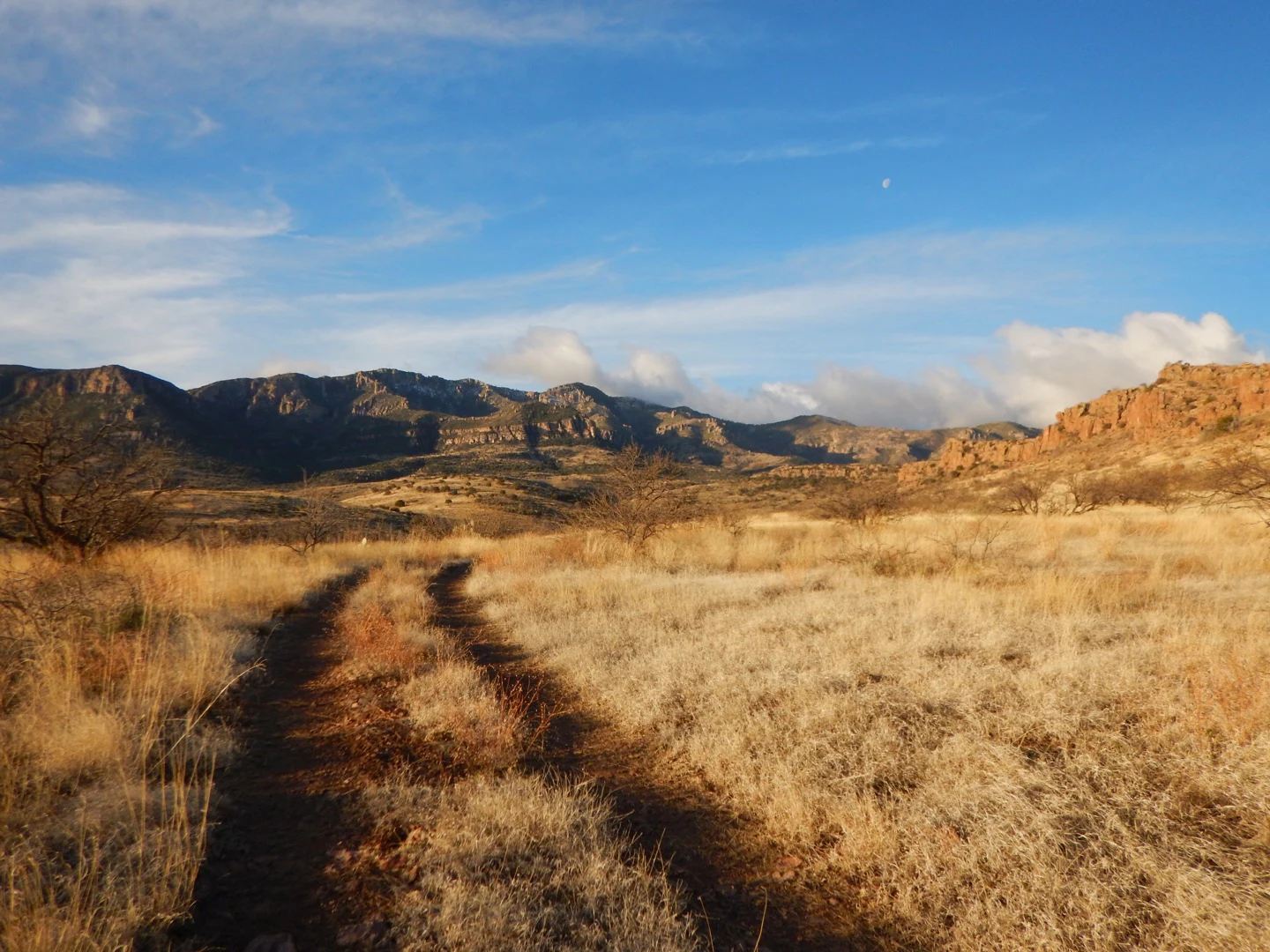 A dirt track leads through dry golden grasses toward a range of rugged mountains under a blue sky with light clouds.
