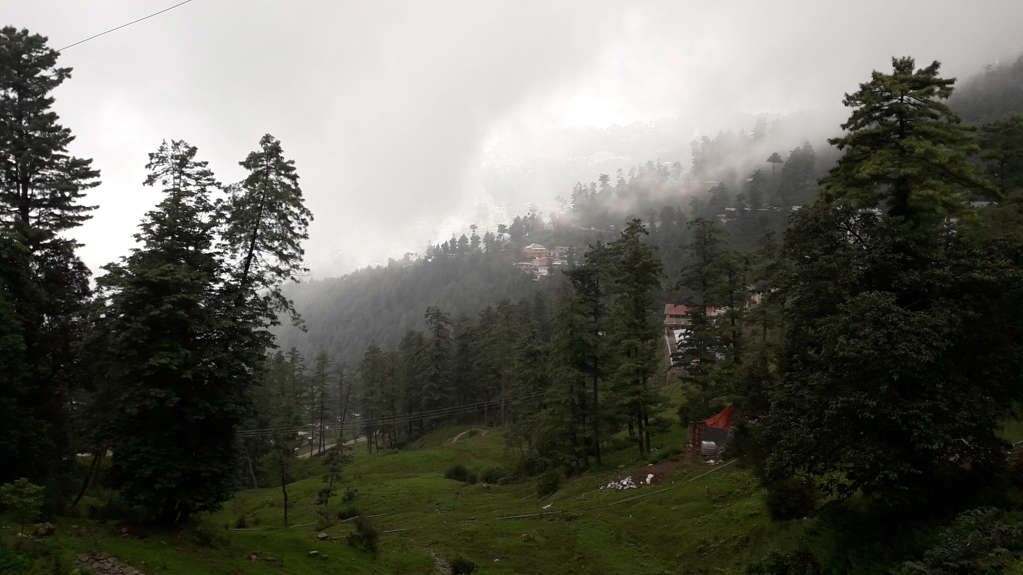 Una ladera montañosa verde y boscosa envuelta en una densa niebla y nubes bajas, con árboles de hoja perenne y vislumbres de pequeños edificios anidados entre los pinos.