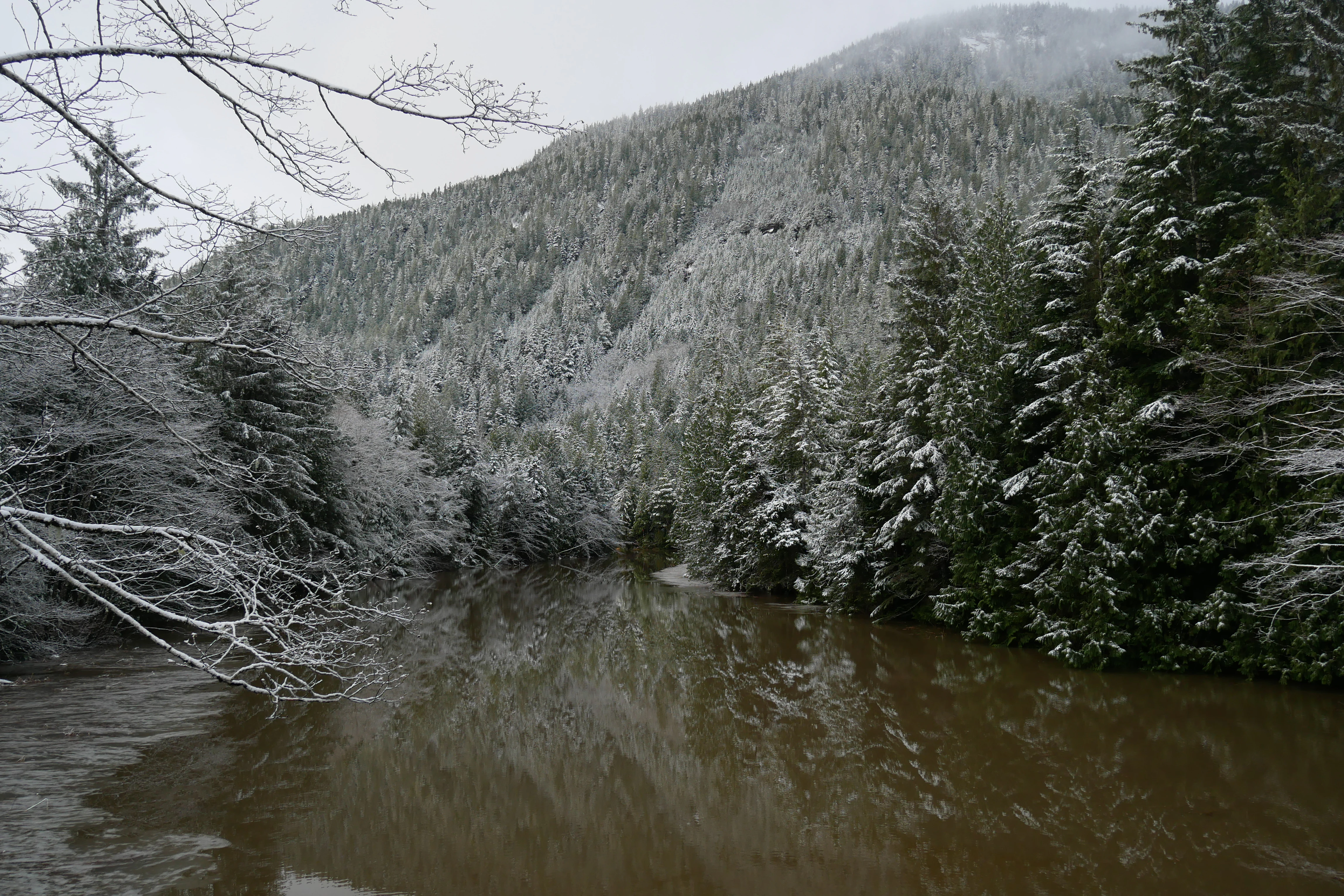 A calm, brown-tinted river winds through a dense, snow-covered coniferous forest with a steep forested mountain slope in the background.