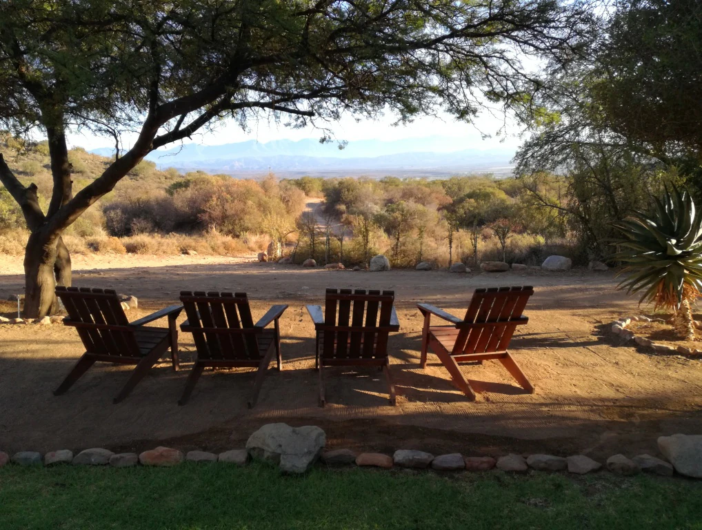 Four wooden chairs arranged in a row on a gravel ground under the shade of a large tree, facing an expansive view of arid scrubland and distant mountains.