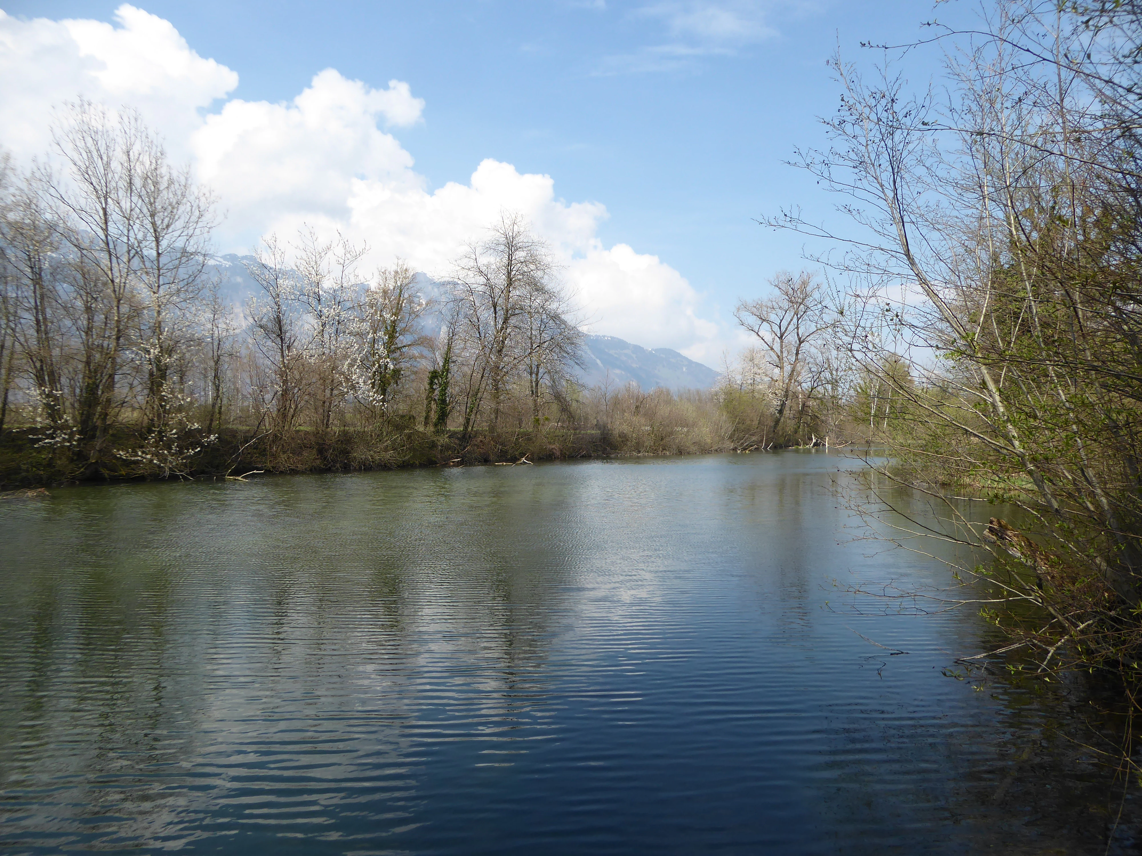 A calm blue lake reflecting the sky, bordered by bare trees and shrubs, with mountains visible in the distance under a partly cloudy sky.