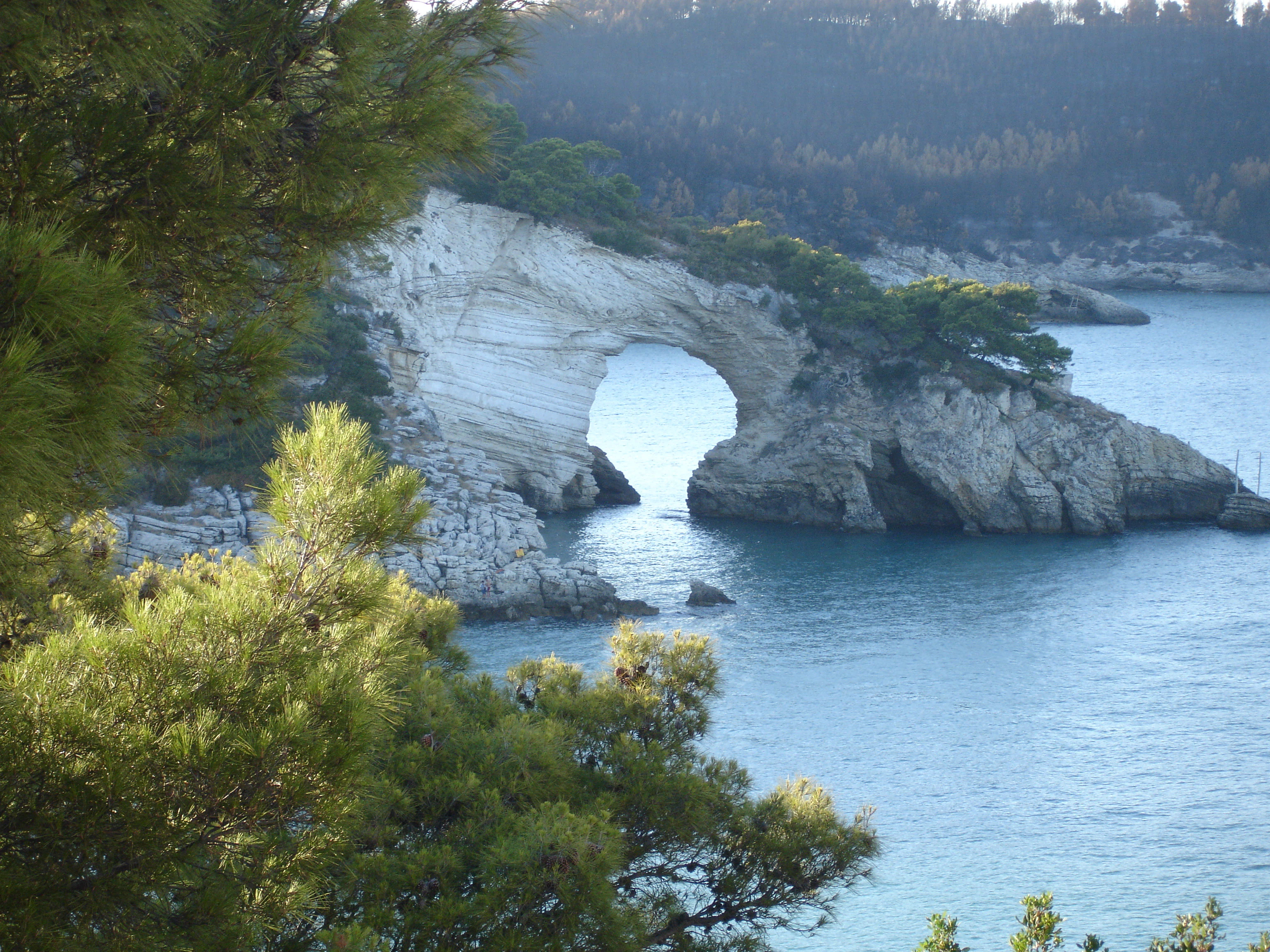 Limestone sea arch with blue water, surrounded by green trees and rocky coastline