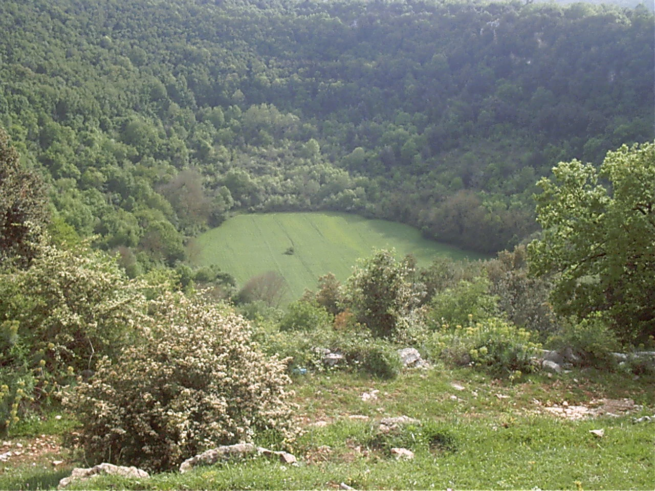 Wide landscape view of a grassy depression surrounded by forested hills