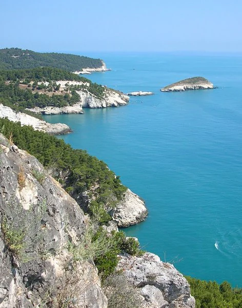 Rocky coastal cliffs overlooking turquoise Adriatic Sea with small island in distance, vegetation-covered hills, clear blue sky