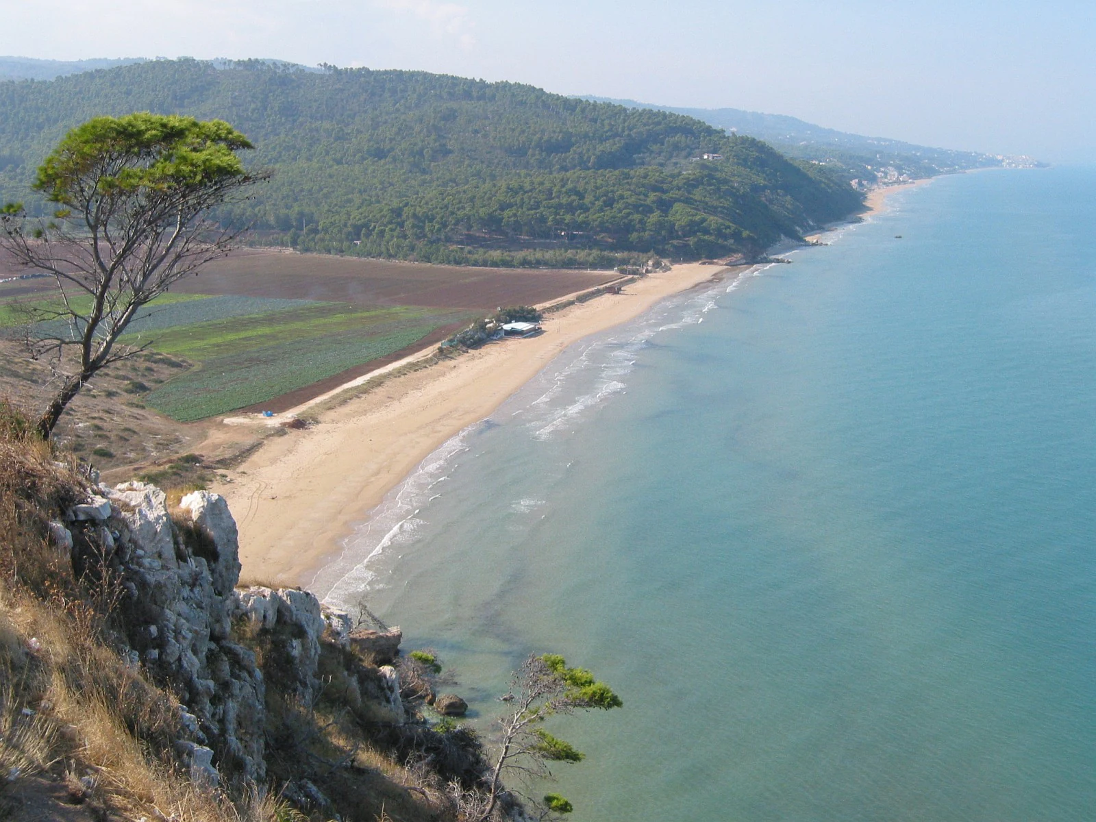 Sandy beach along turquoise sea with rocky cliffs on left, single tree, and forested hills in background