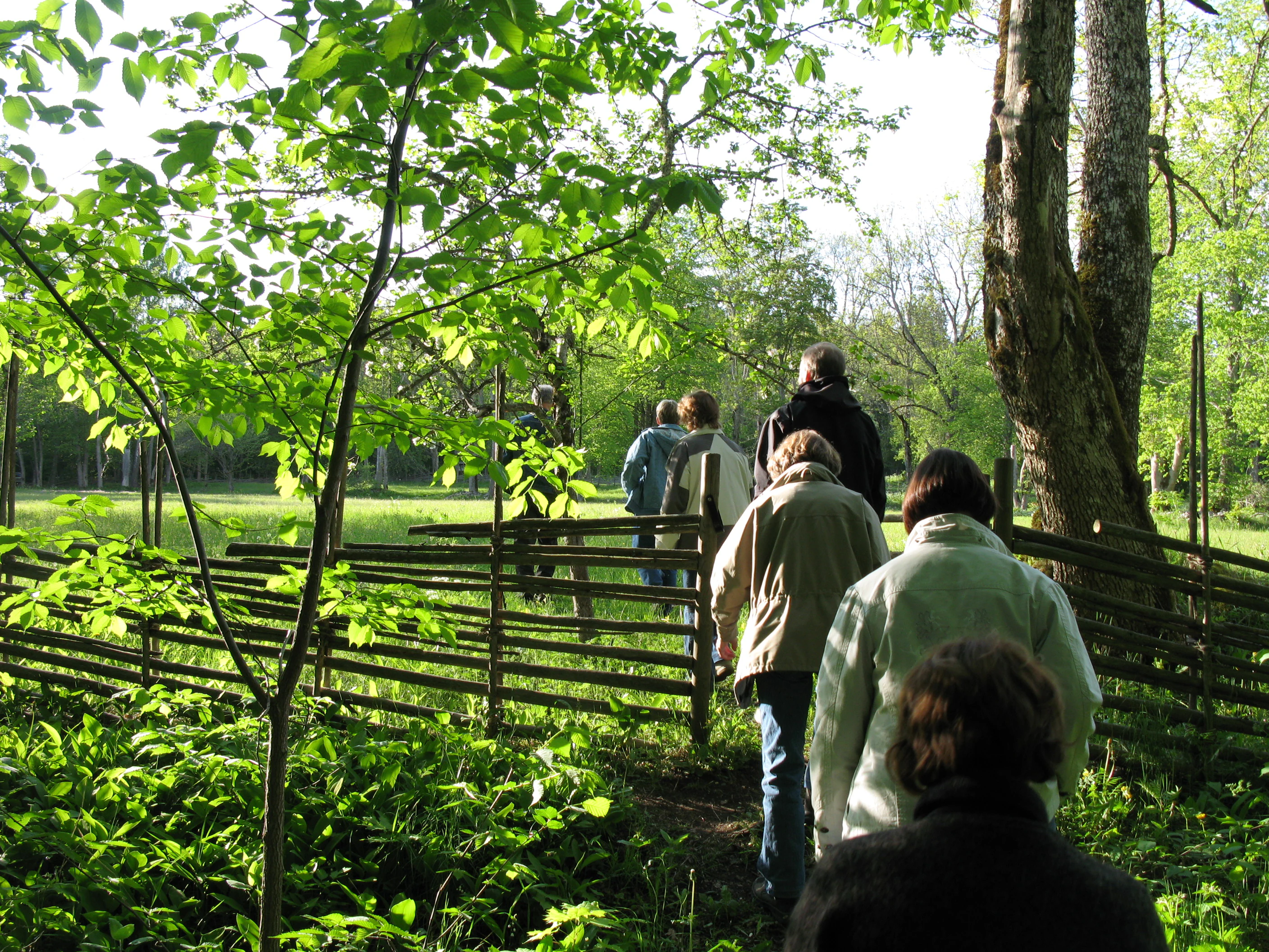 Several people walking on a forest path with wooden fencing, surrounded by green trees and vegetation