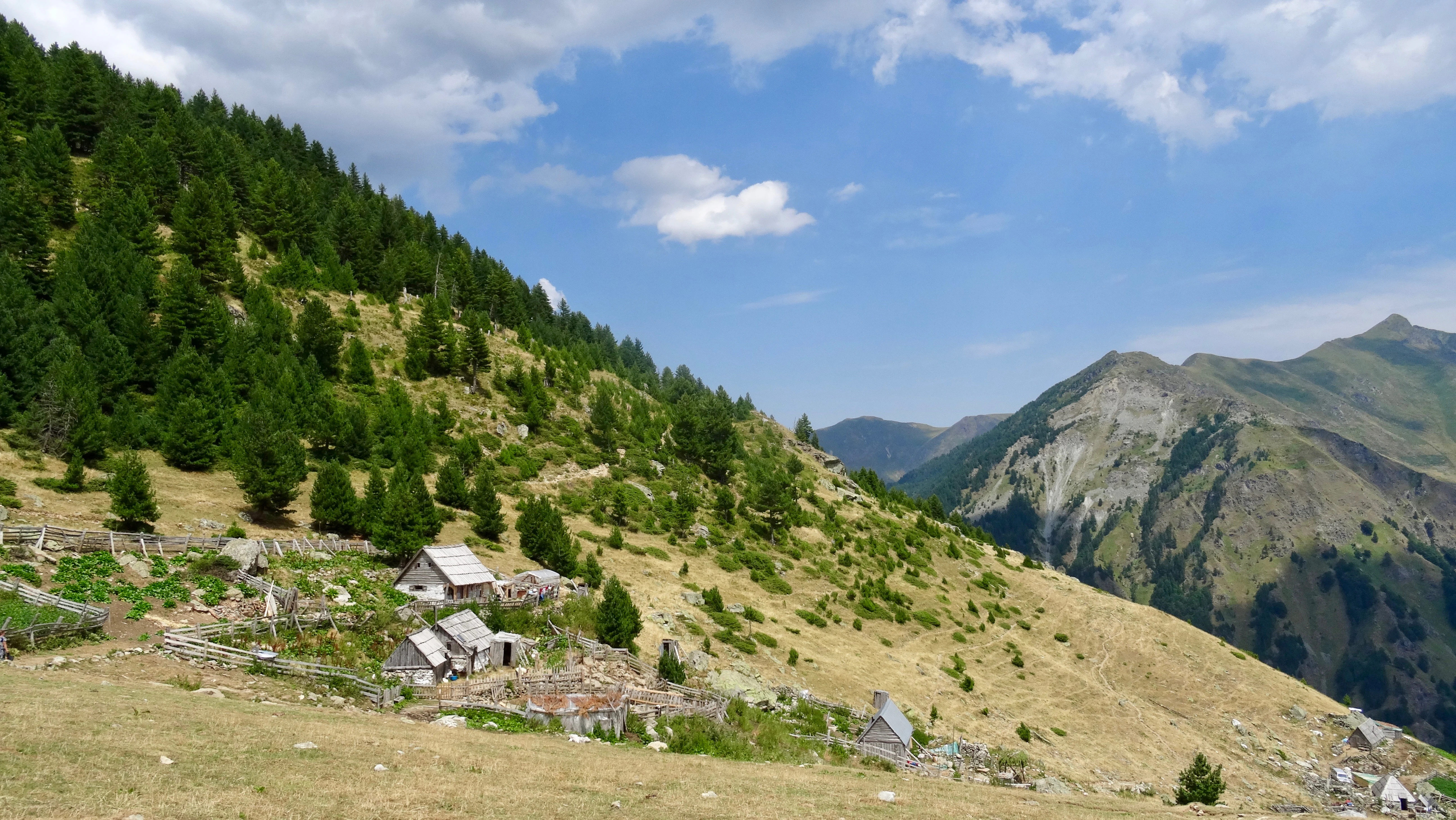 A wide view of a sloped mountain pasture featuring small stone huts, scattered pine trees, and rugged peaks in the distance under a partly cloudy sky.