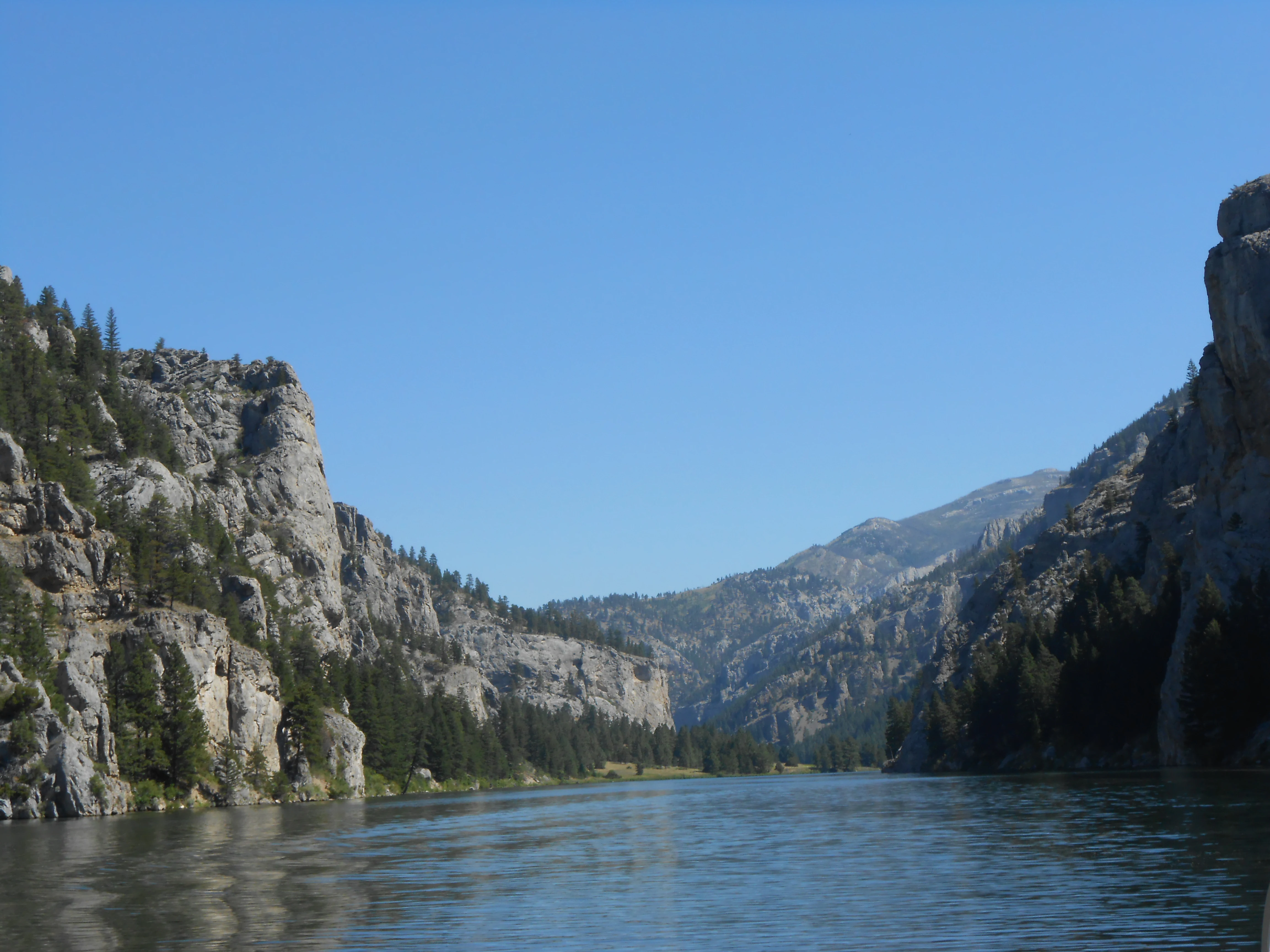 A wide view of a river flowing through a narrow canyon flanked by steep limestone cliffs and evergreen trees under a clear blue sky.