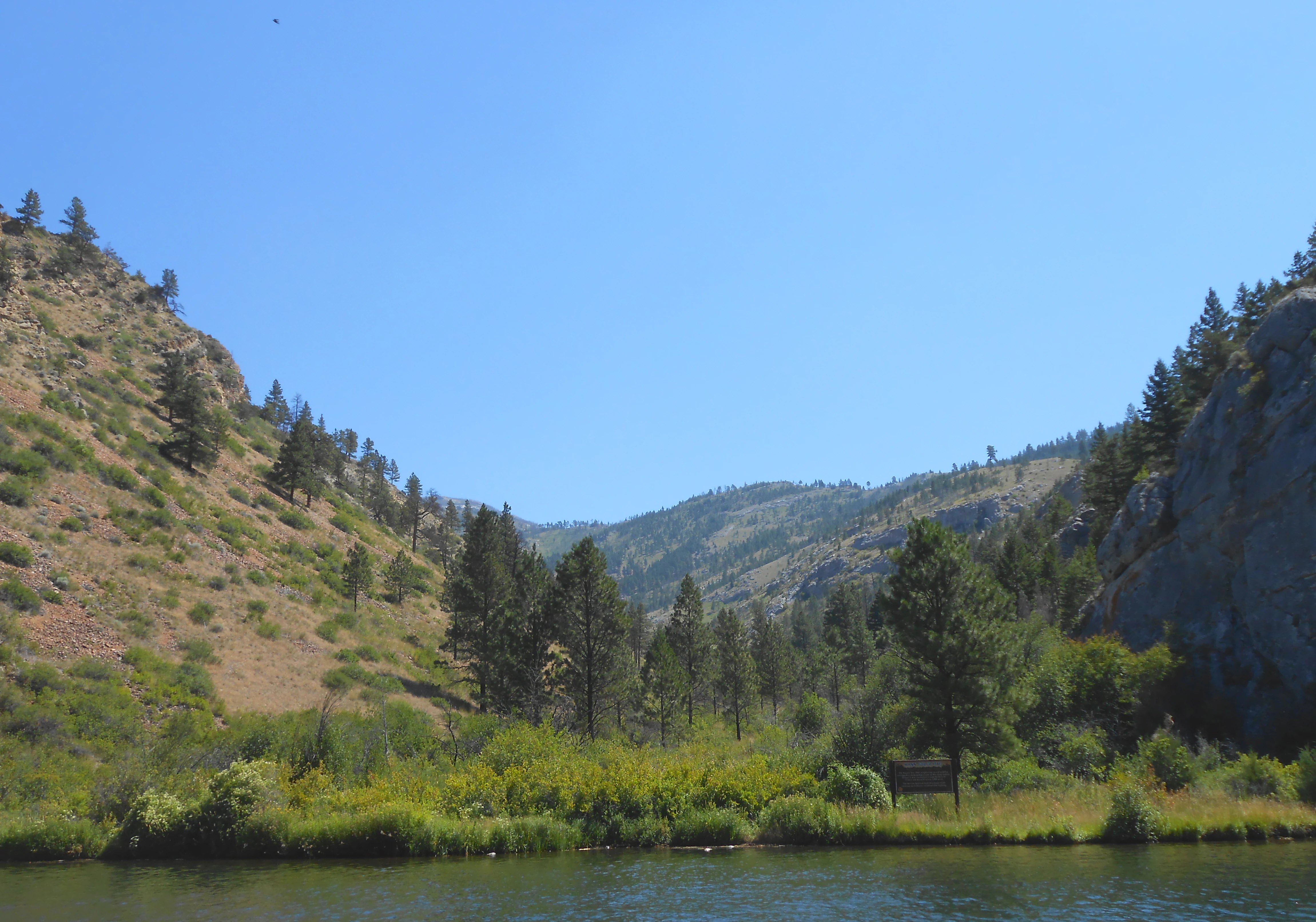 A valley with steep, rocky hillsides flanking a river, with sparse evergreen trees and grasses in the foreground.