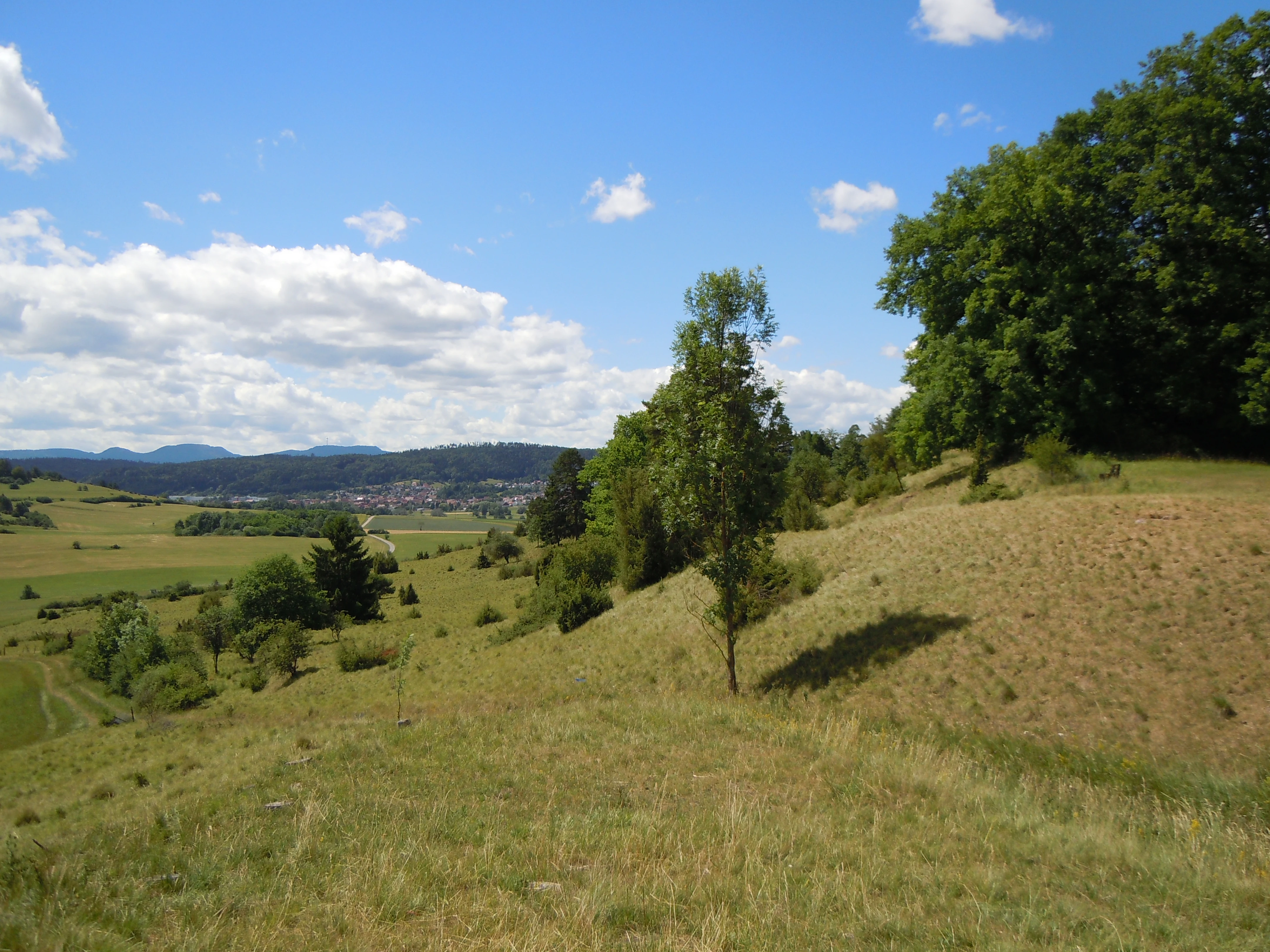 A wide, elevated view of a grassy meadow and hillside in the foreground, with a patch of forest on the right and a distant village and rolling hills in the background under a blue sky.