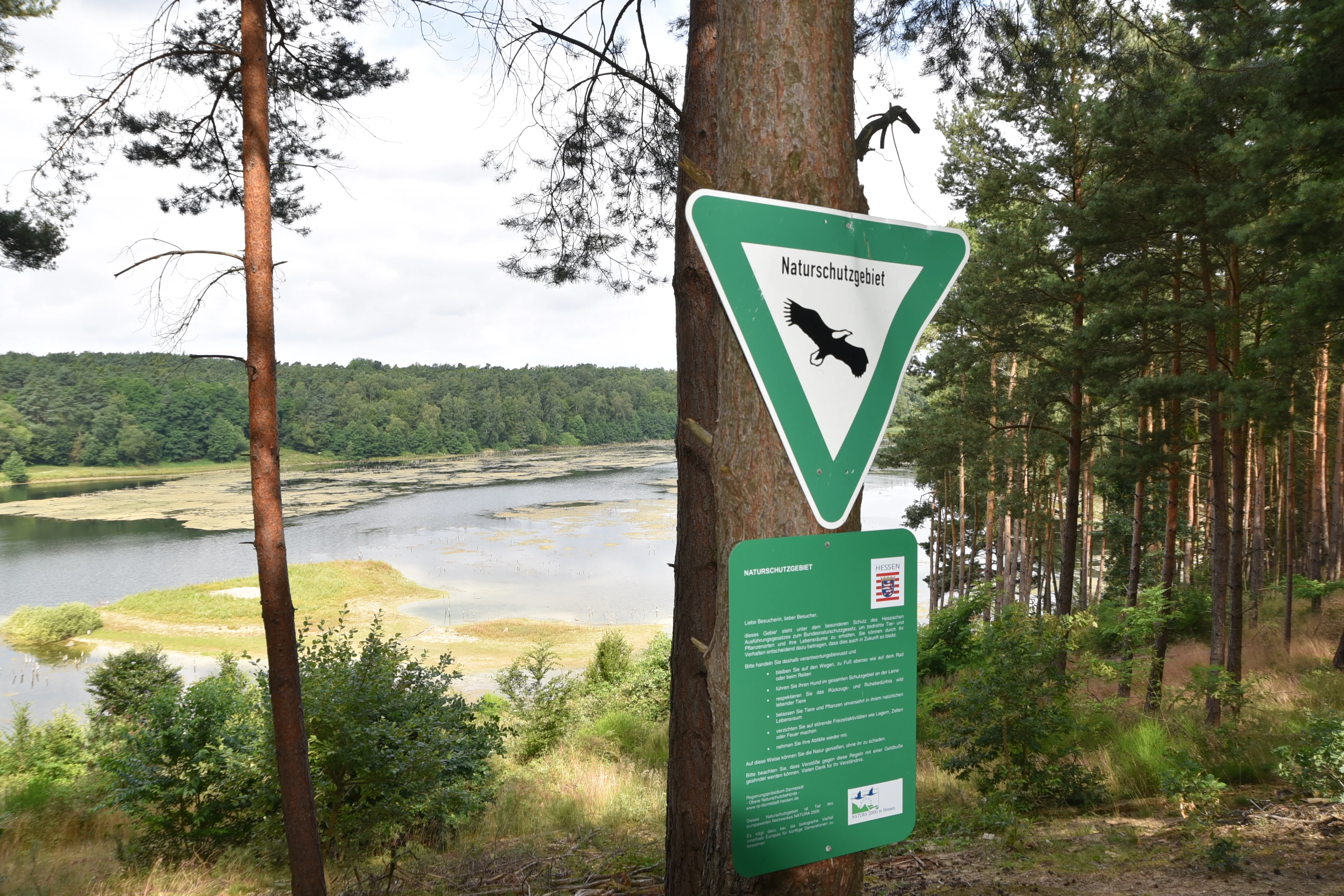 A triangular green German nature reserve sign, showing a black raptor silhouette, attached to a pine tree, overlooking a scenic lake and forest landscape.