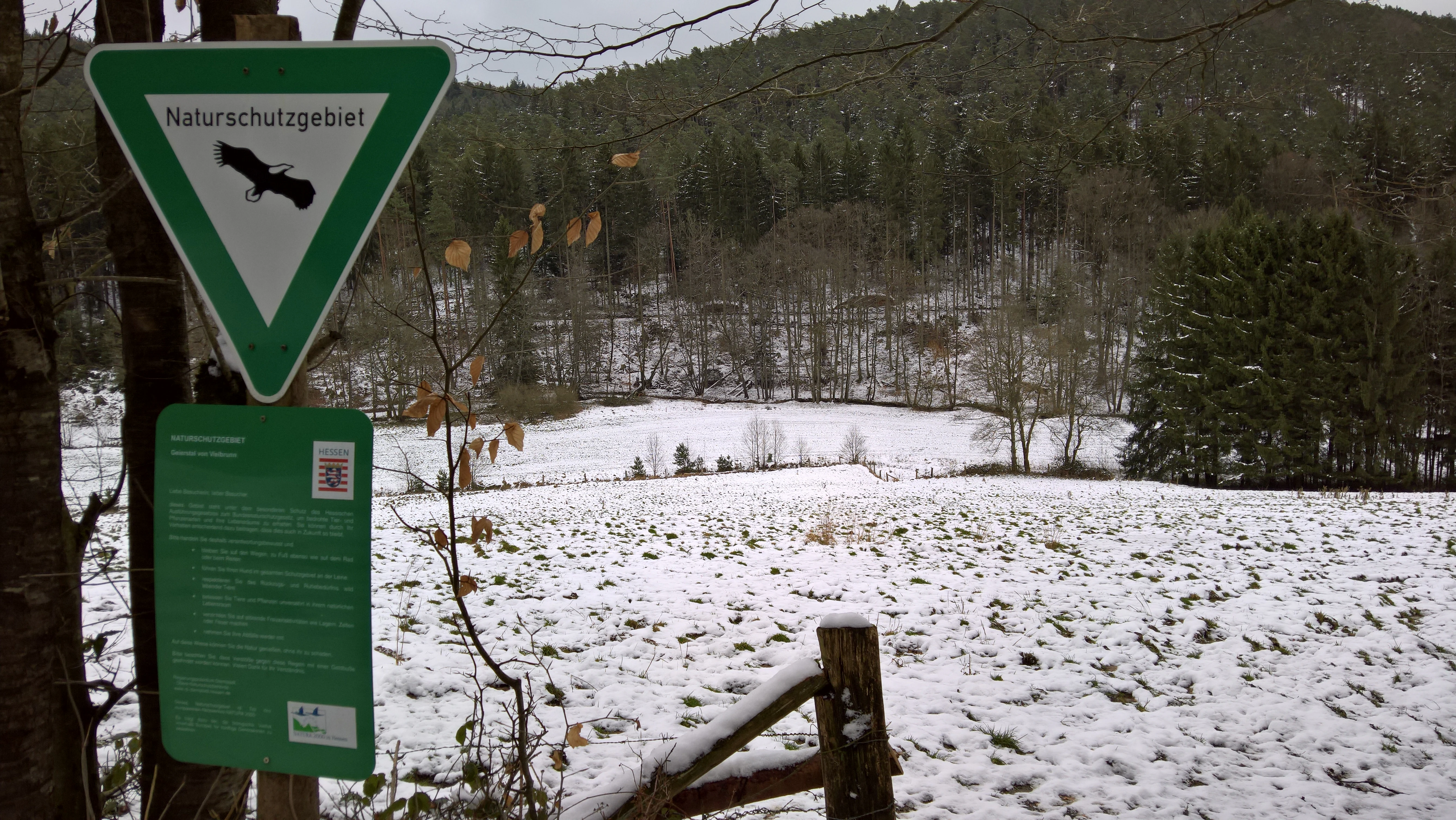 A triangular green and white German nature reserve sign with an eagle symbol, mounted above an information board, overlooking a snowy meadow and forest background.