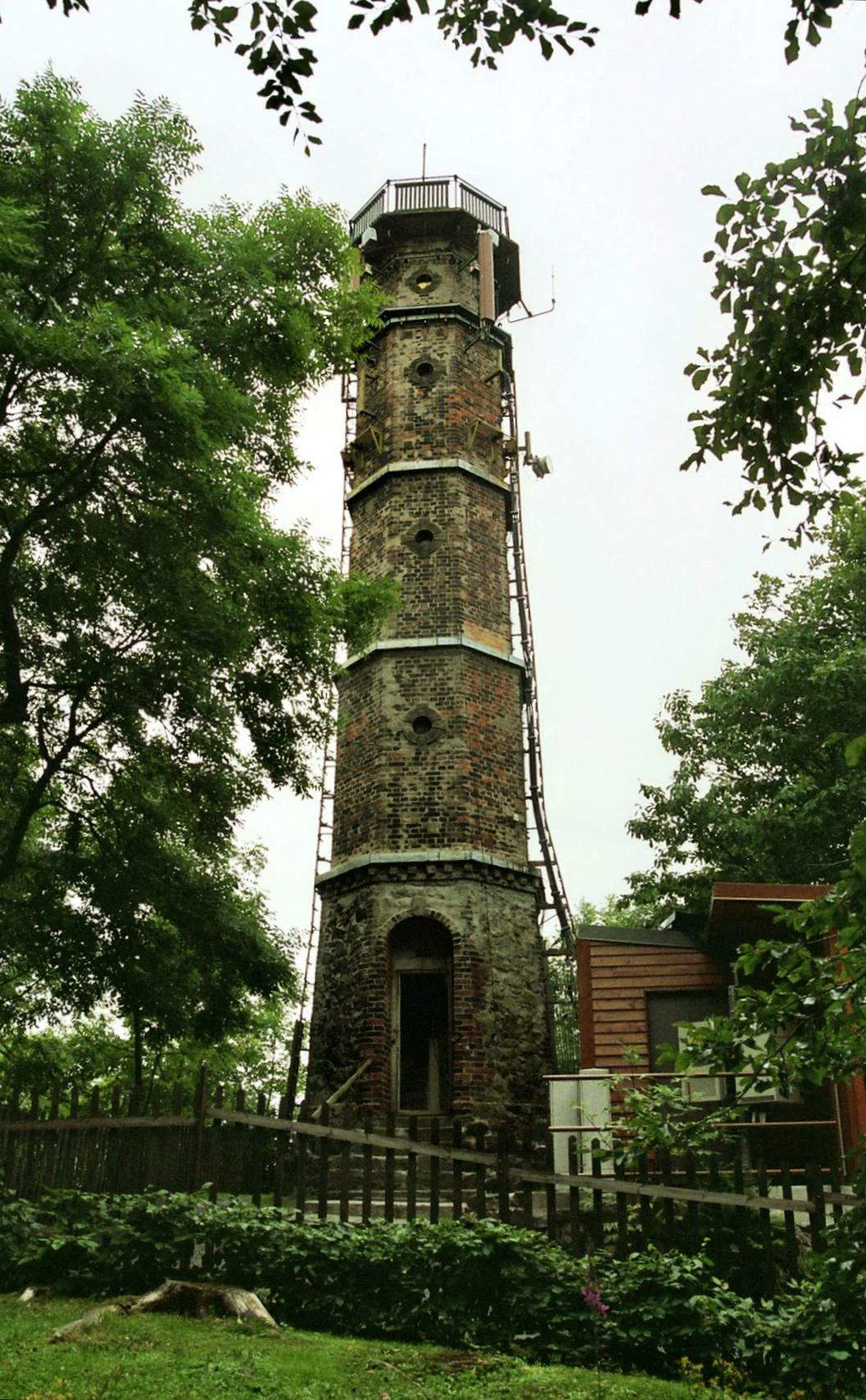 A tall, historic brick observation tower, the Louisenturm, rises above the surrounding trees on a summit, featuring an open arched doorway at the base and a viewing deck at the top.