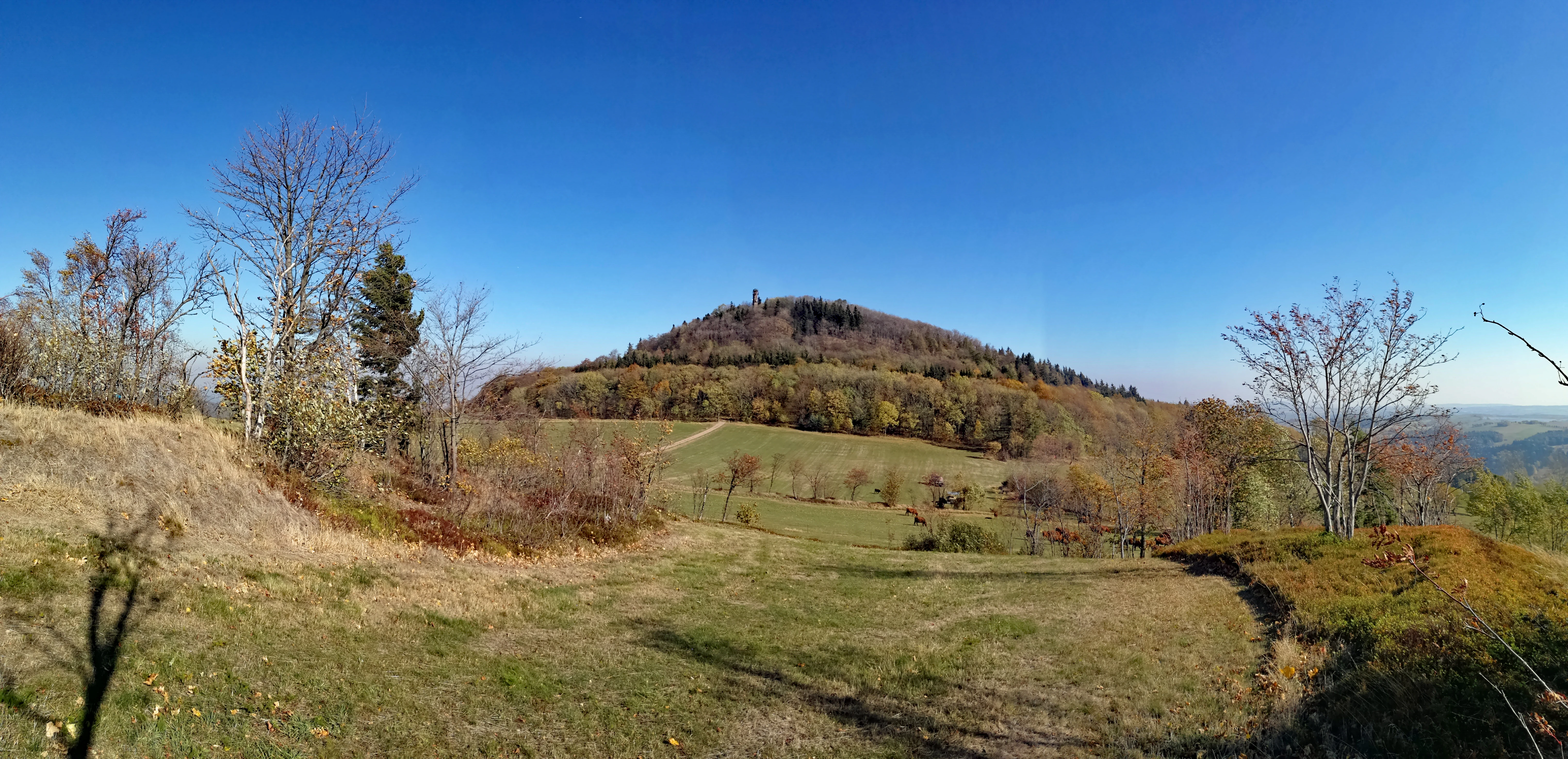 Panoramic landscape showing the conical Geisingberg mountain covered in trees, rising above open, grassy meadows under a clear blue sky.