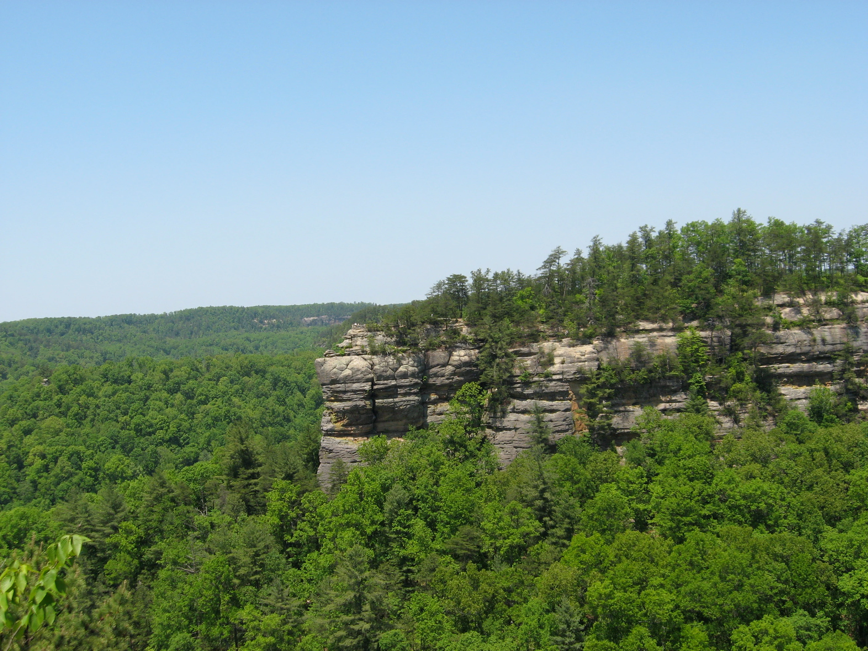 A wide view of a prominent rocky cliff face partially covered by evergreen and deciduous trees, with a vast, rolling green forest extending into the background under a clear sky.
