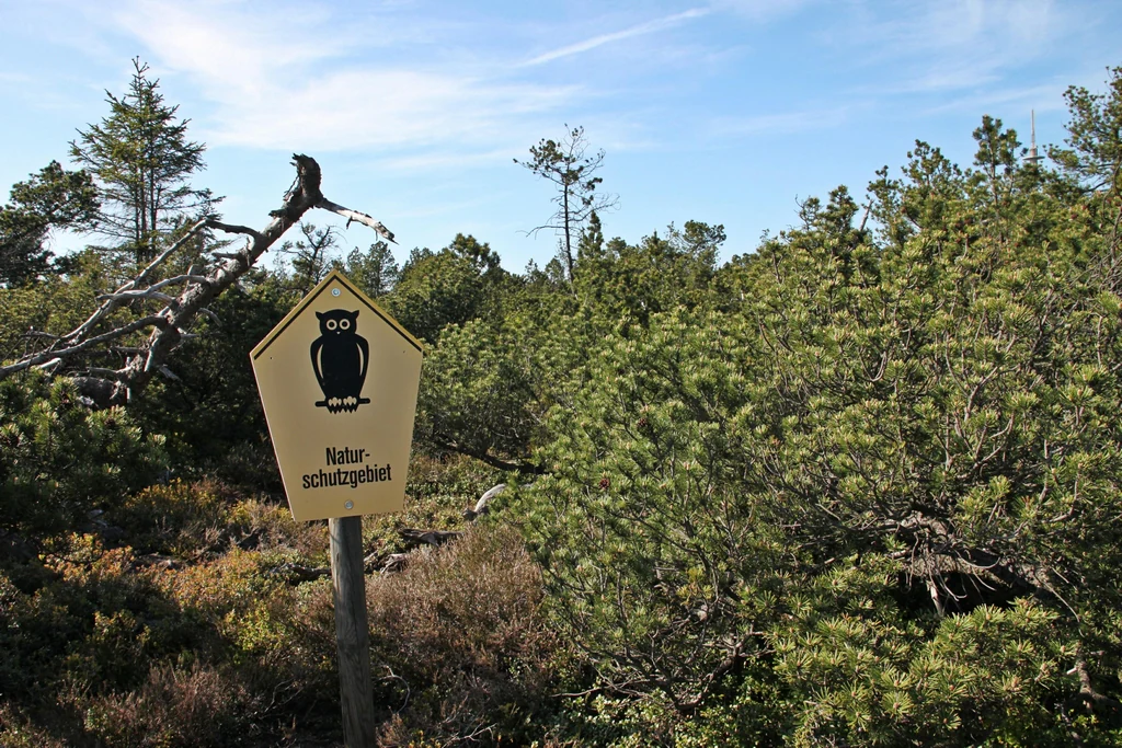 A yellow, pentagonal-shaped sign mounted on a post in a bog environment; the sign features a black owl icon and the text Naturschutzgebiet.