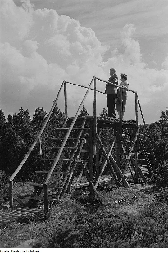 A black and white photograph showing a man and woman standing on a rustic wooden observation platform surrounded by a low-lying bog landscape and forest trees under a cloudy sky.