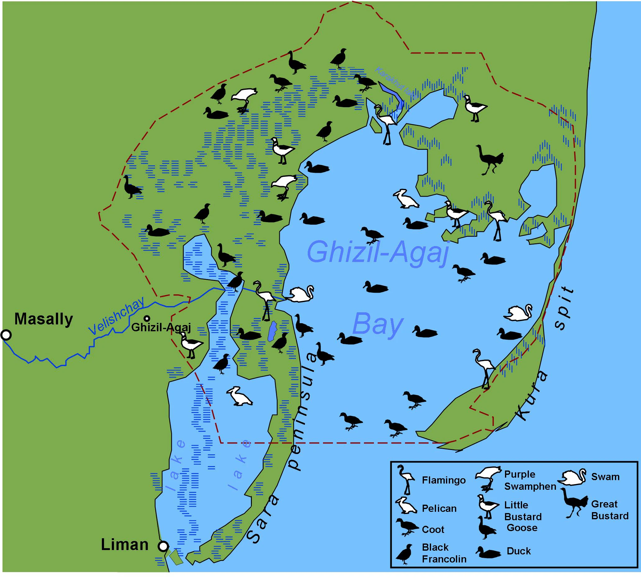 Un mapa digital que muestra la Reserva Estatal de Ghizil-Agaj en Azerbaiyán, incluyendo la bahía de Ghizil-Agaj, la península de Sara y el espigón de Kura, con varios iconos de aves que representan especies como flamencos, pelícanos y cisnes.