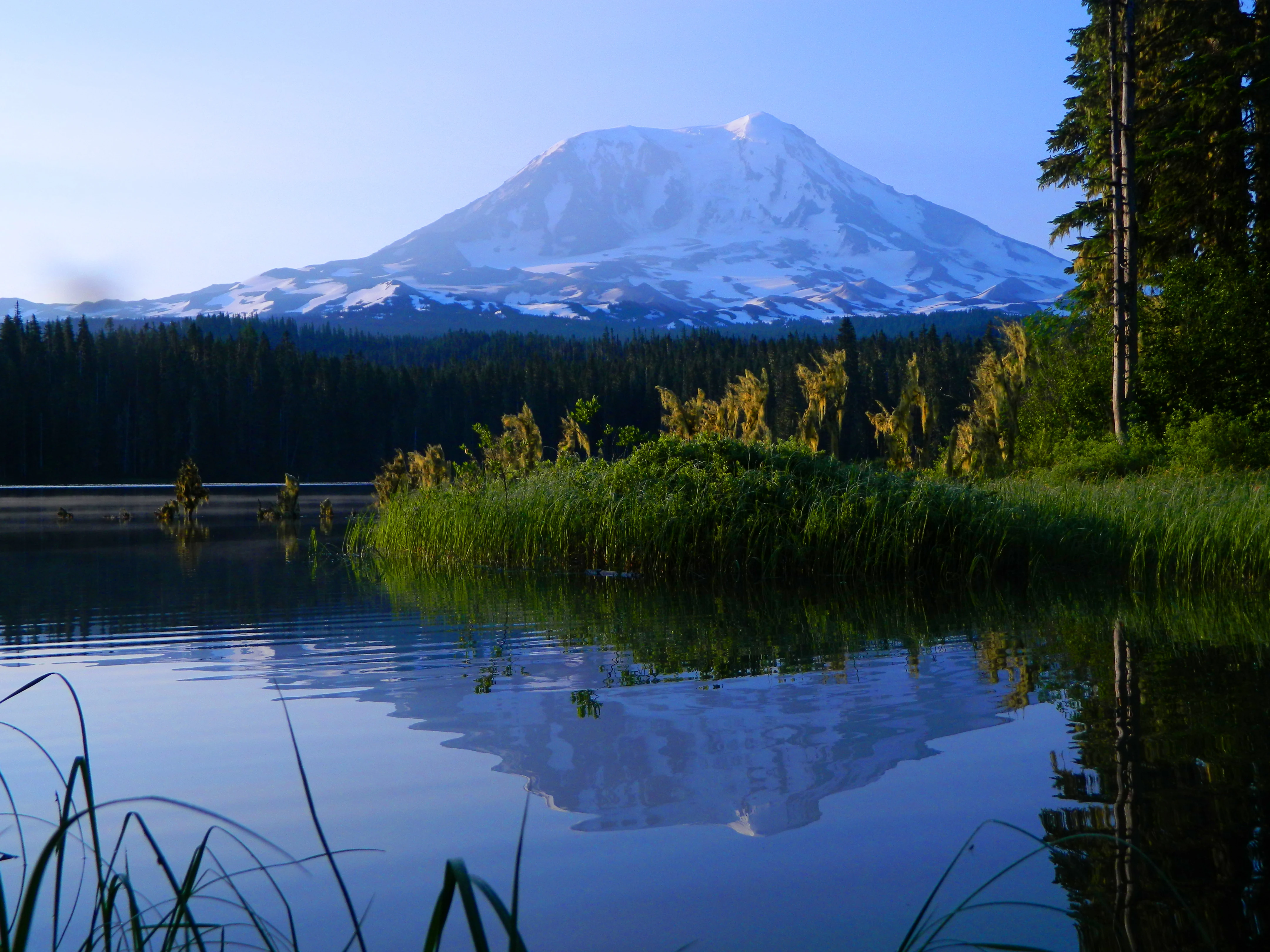 A snow capped volcanic mountain peak rising above a forest line, mirrored perfectly in the calm, dark water of a lake in the foreground.