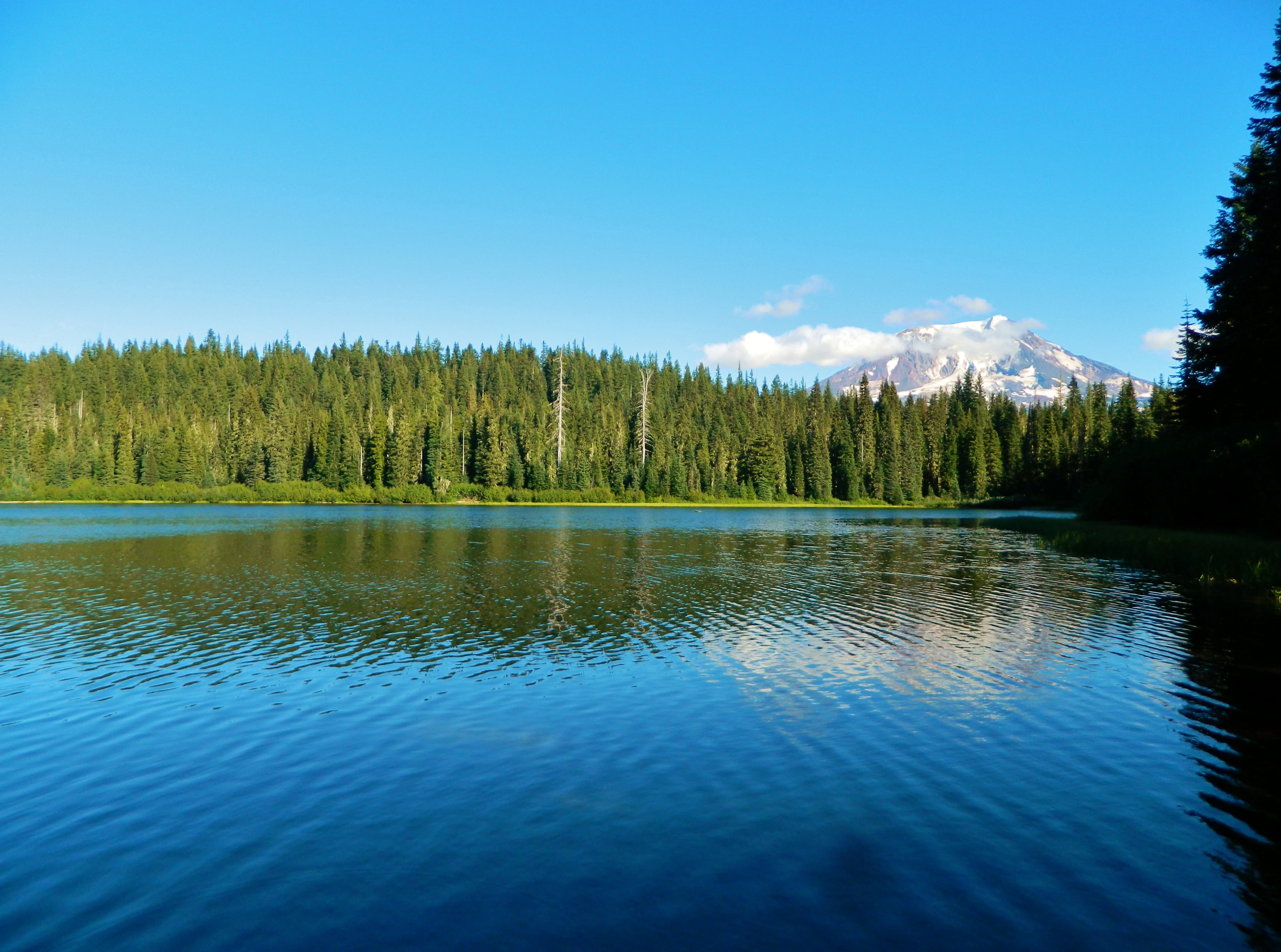 A clear blue lake in the foreground reflecting a distant, snow-covered volcanic peak behind a dense green forest of coniferous trees under a bright blue sky.
