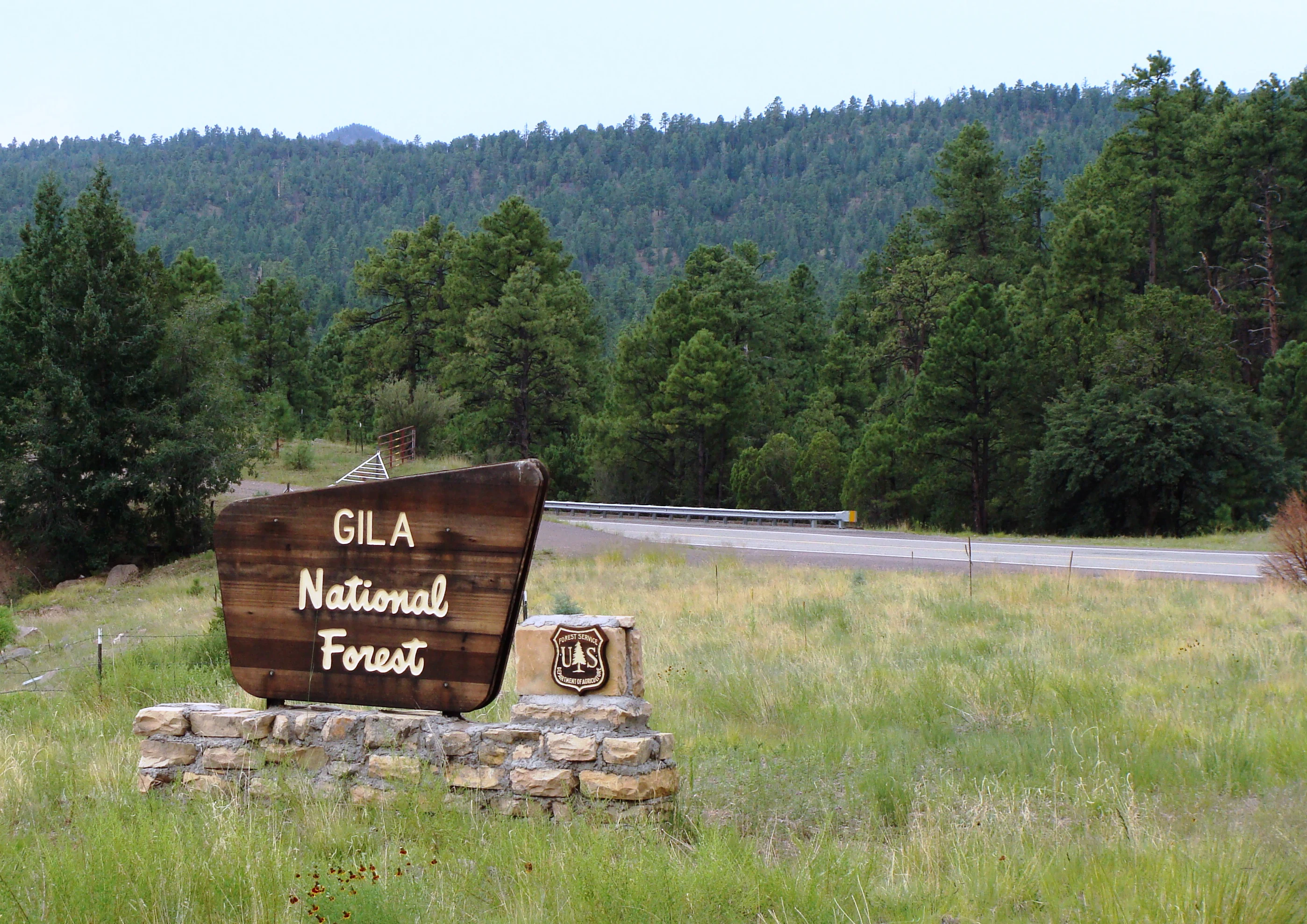 A brown wooden entrance sign for Gila National Forest sitting on a stone base, with a forested hillside in the background.