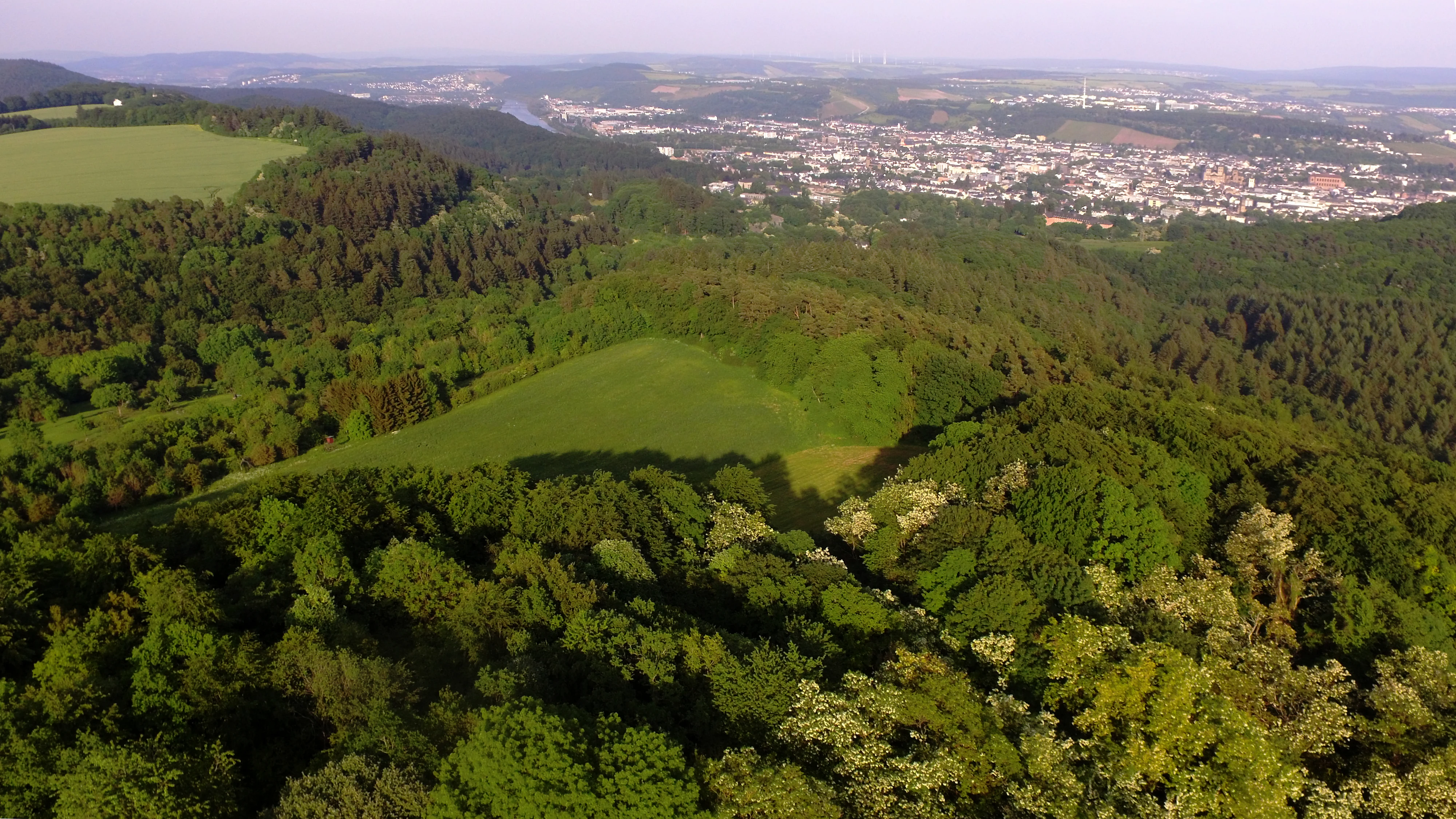 An aerial landscape view looking down over a dense, green deciduous forest and open meadow patches, with a sprawling city visible in the hazy distance under a bright sky.